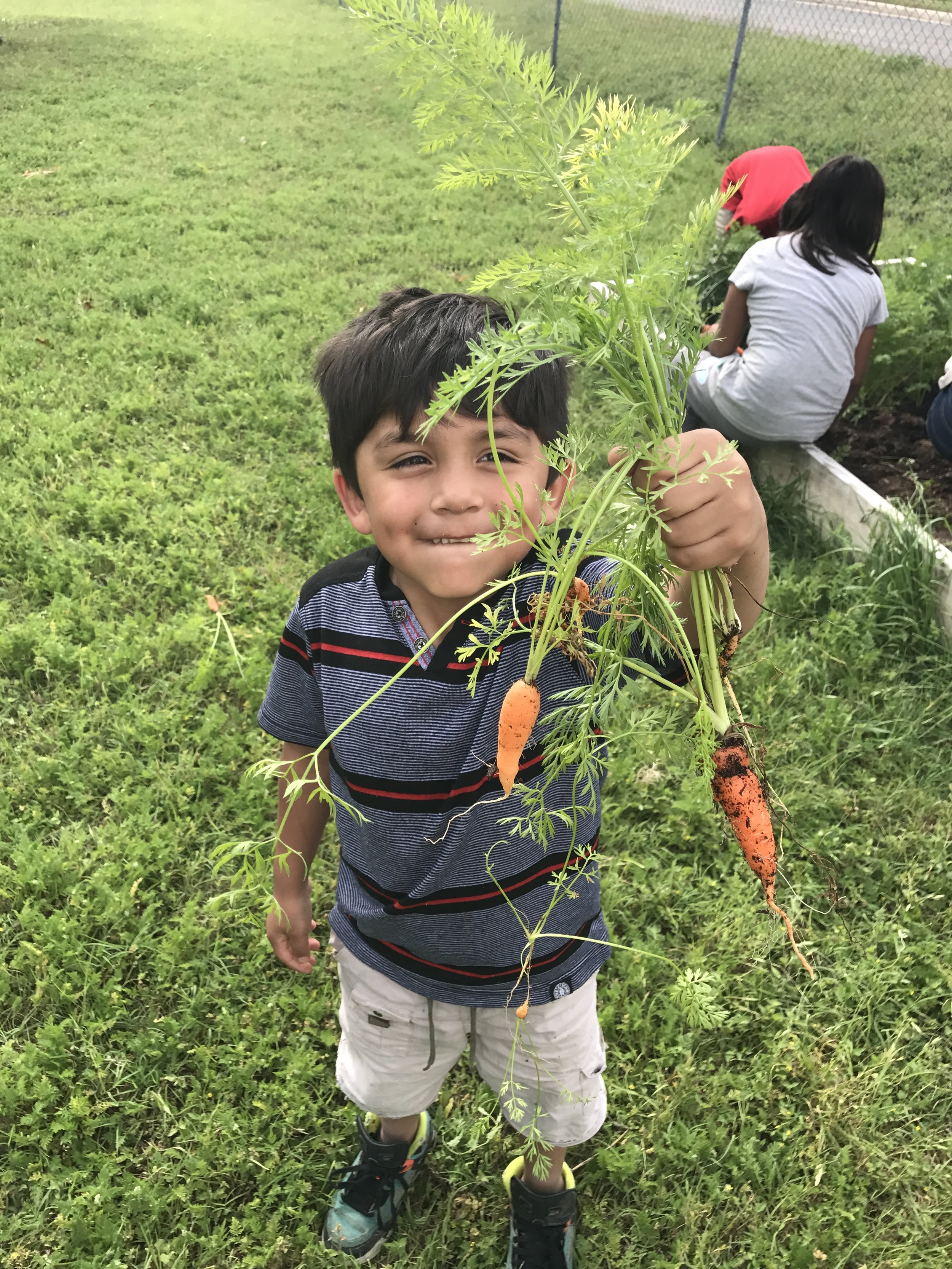 Boy with Carrots_GAVA EC_April 2017.jpg