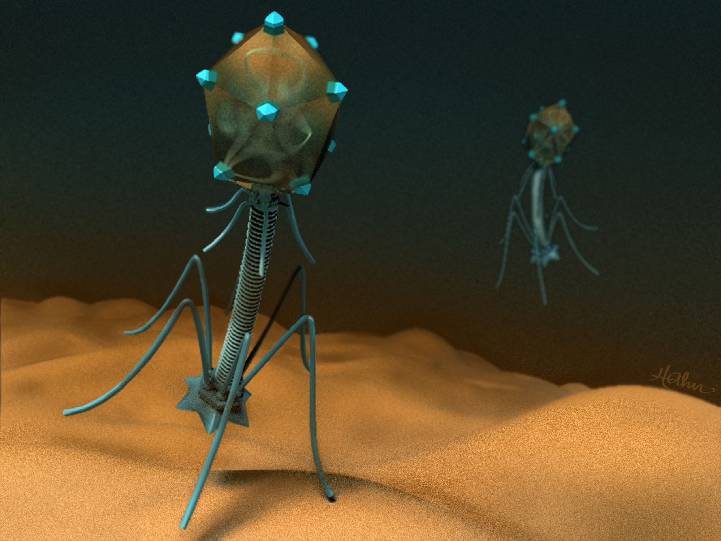bacteriophage