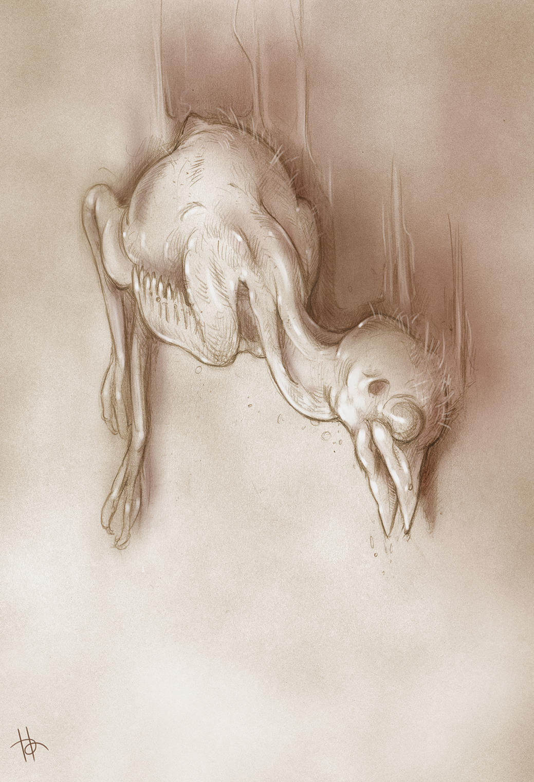 Bird.jpg
