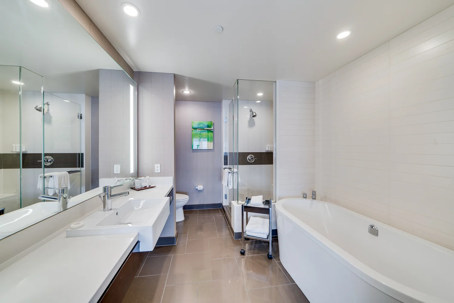BATHROOM FOR BOTH.jpg