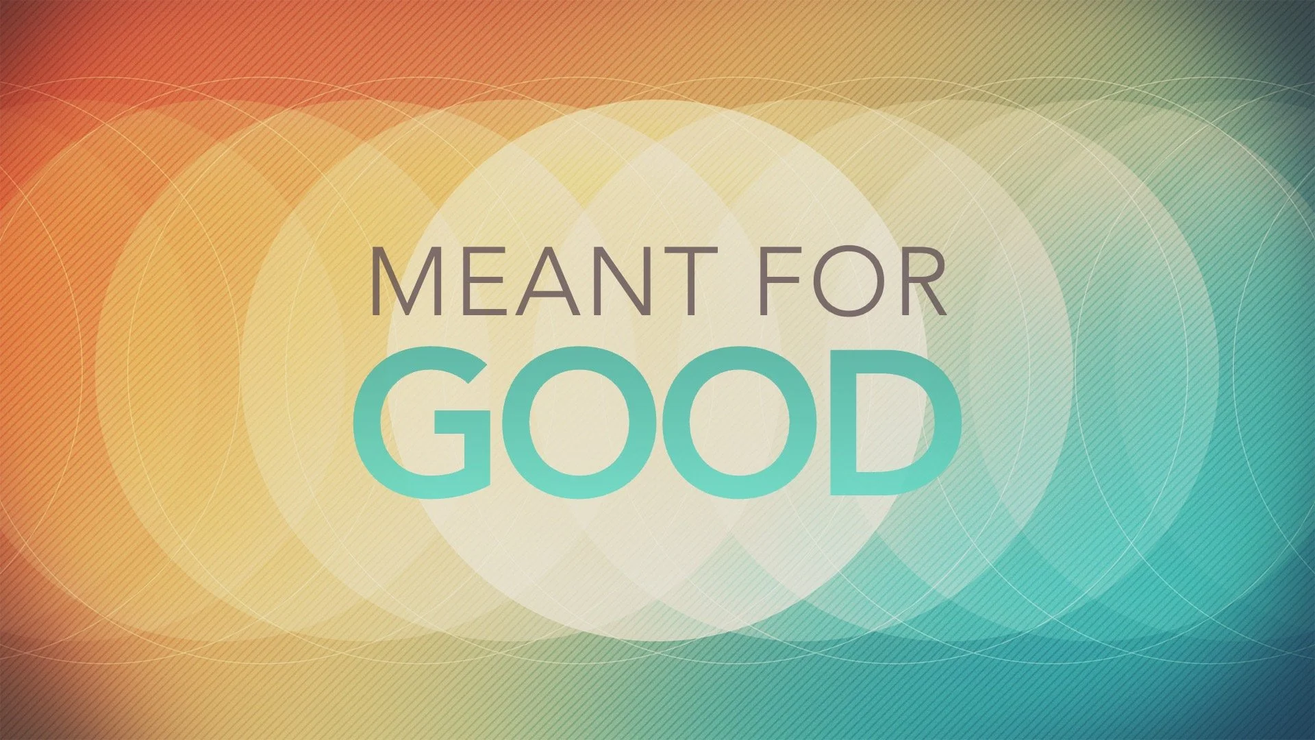 Meant for Good.jpg
