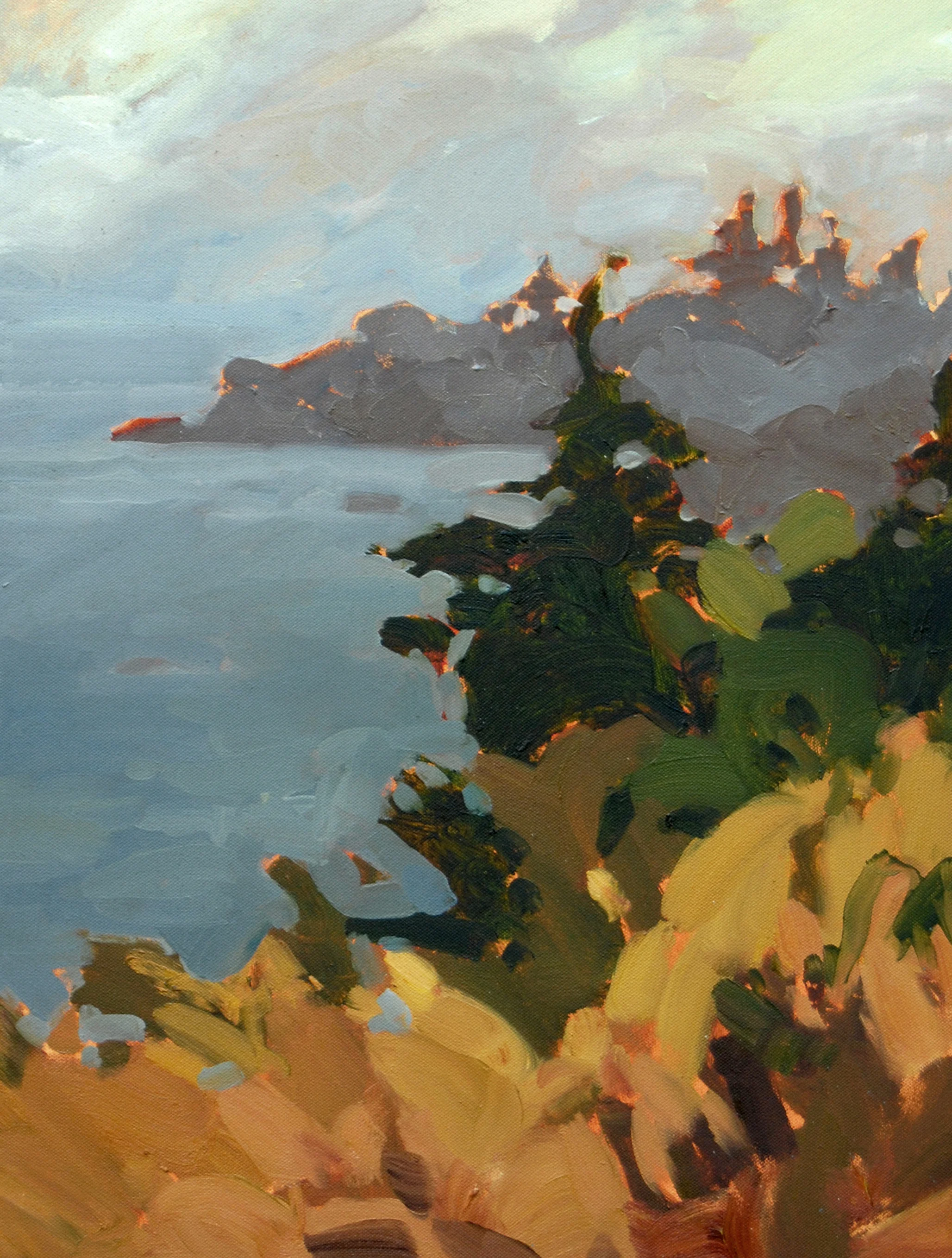 Acadia coast.jpg