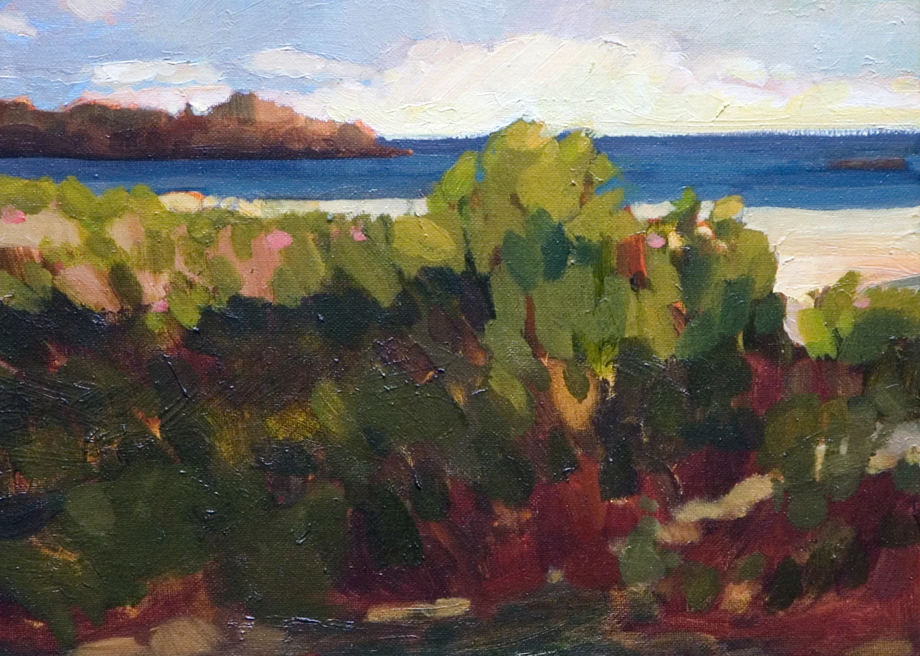Good Harbor Beach.jpg