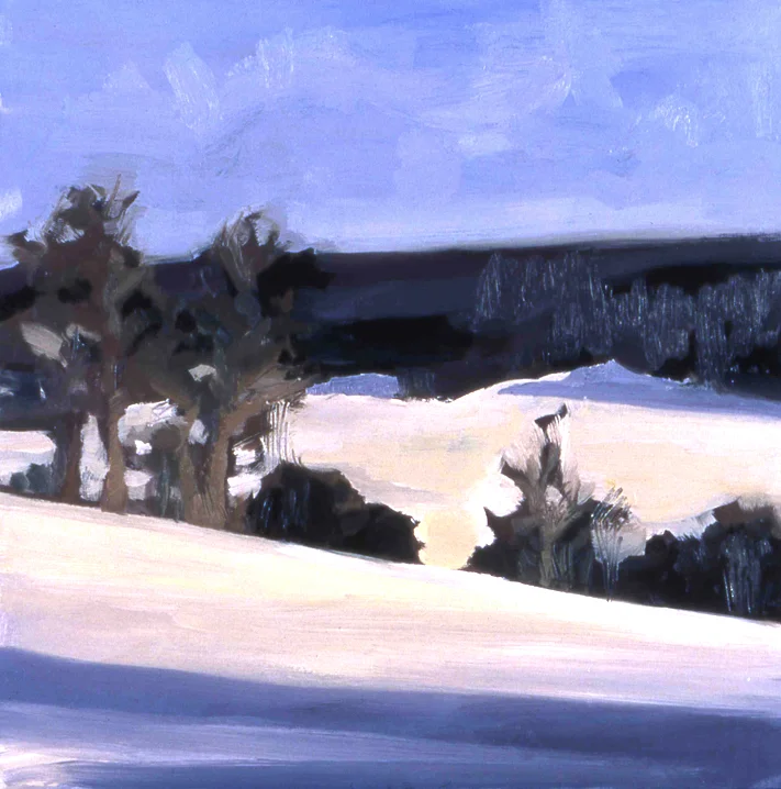 Riverside winter.jpg