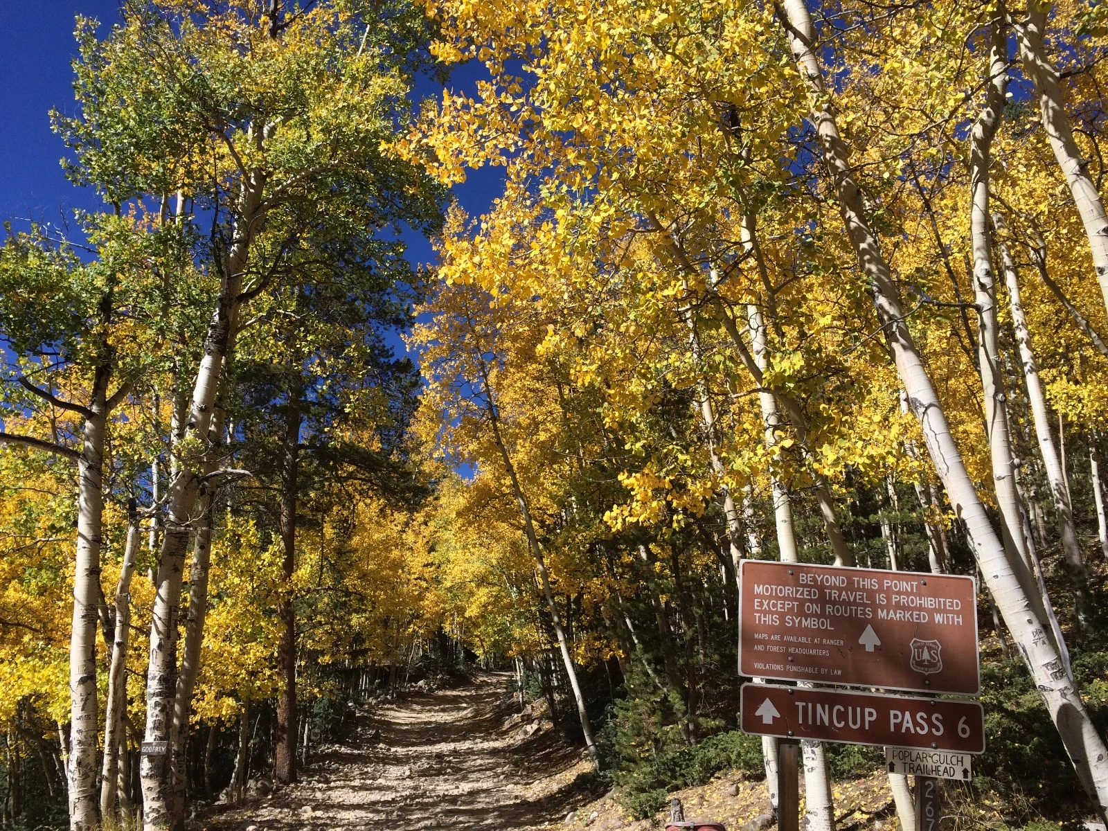 4x4 trail to tincup pass
