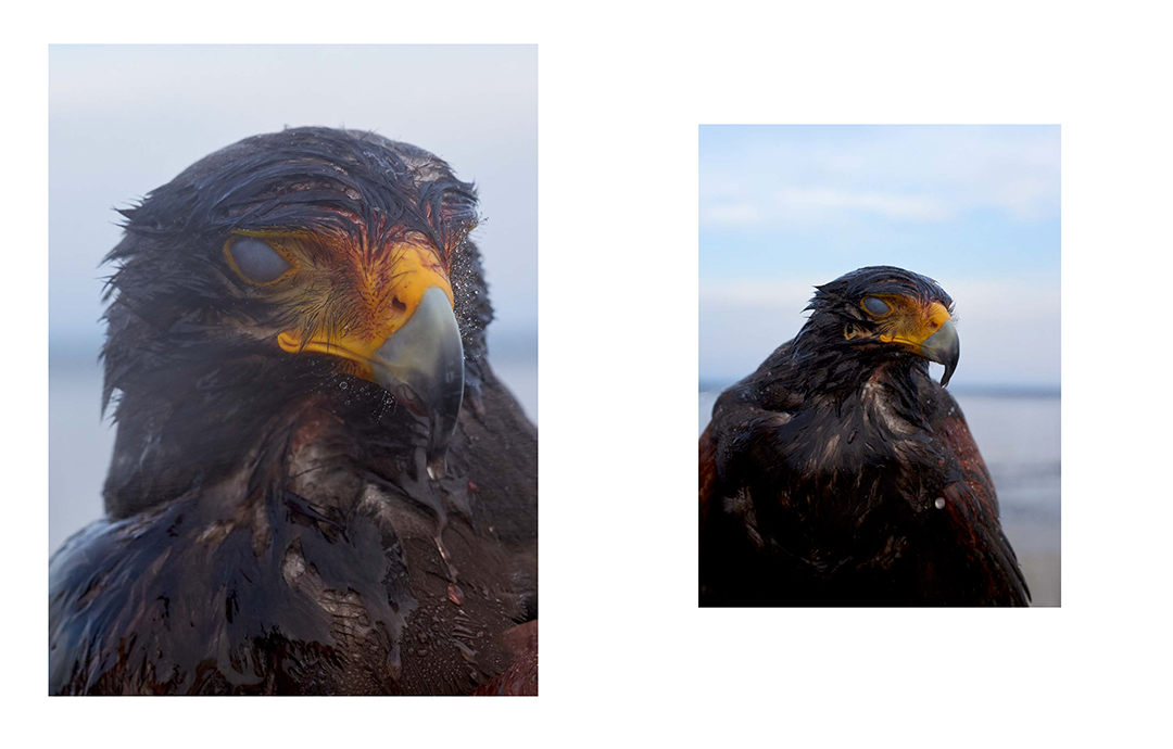 MURDER 2019 LD 22.png
