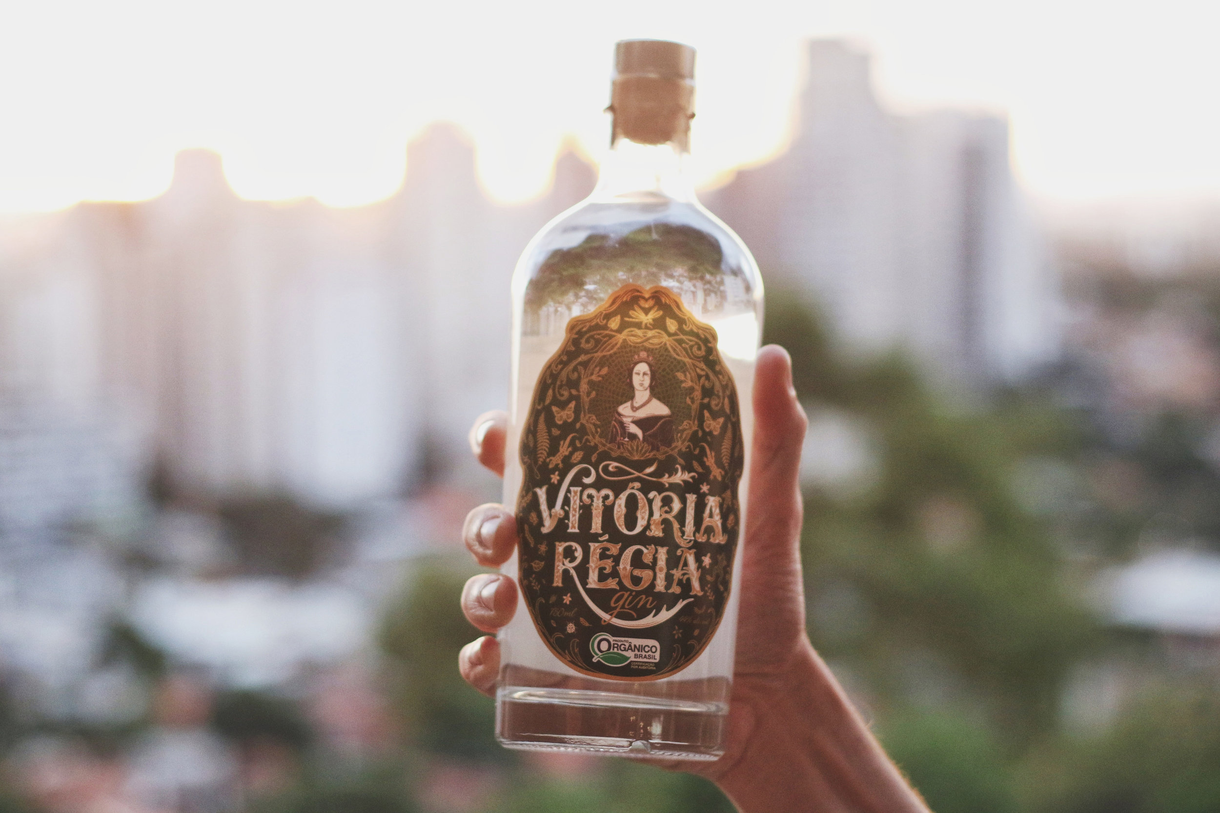 Gin_Vitoria_Regia_10.JPG