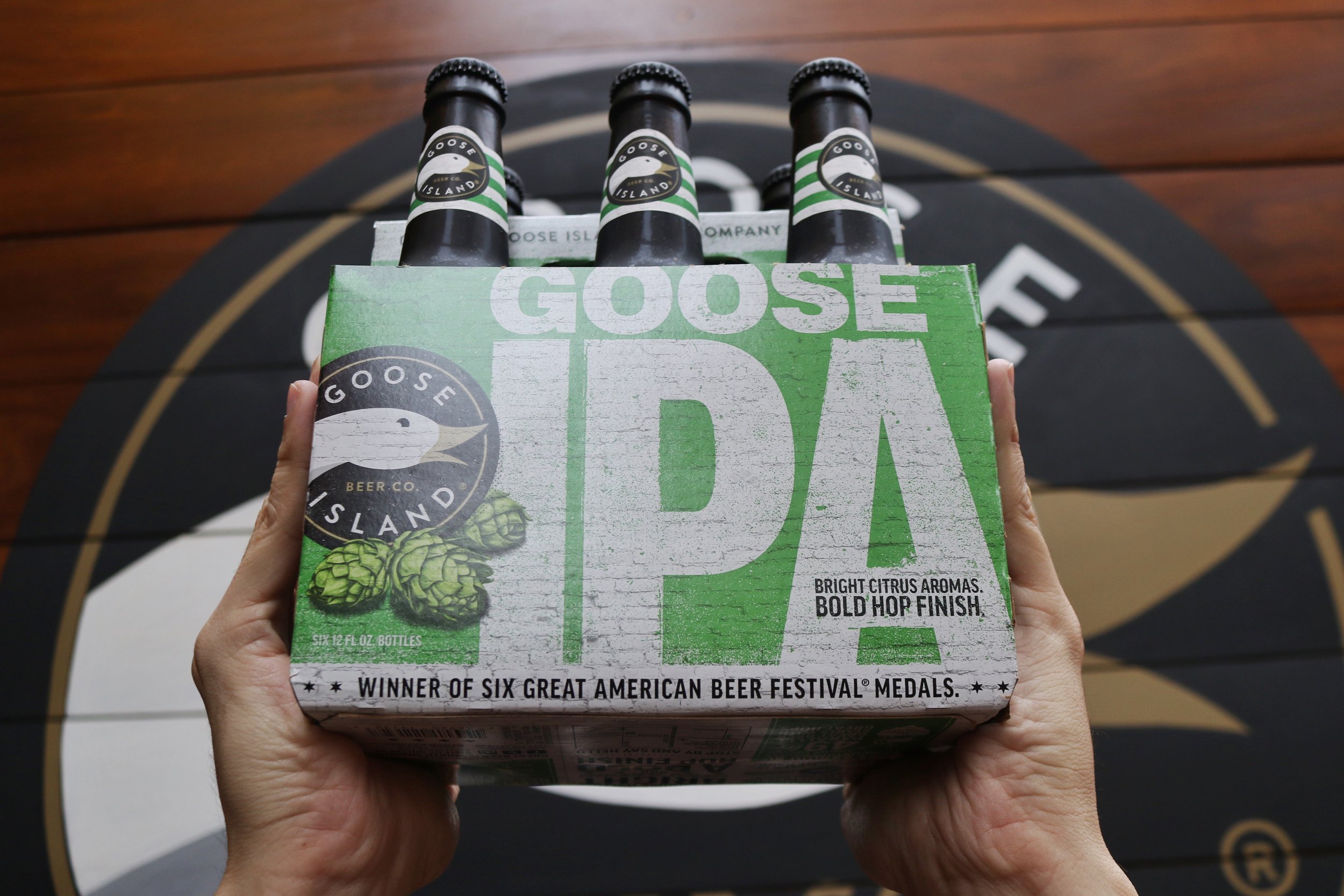goose_01.jpg