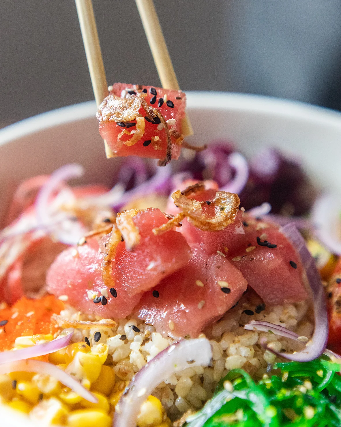 Poke_Garden_13.jpg