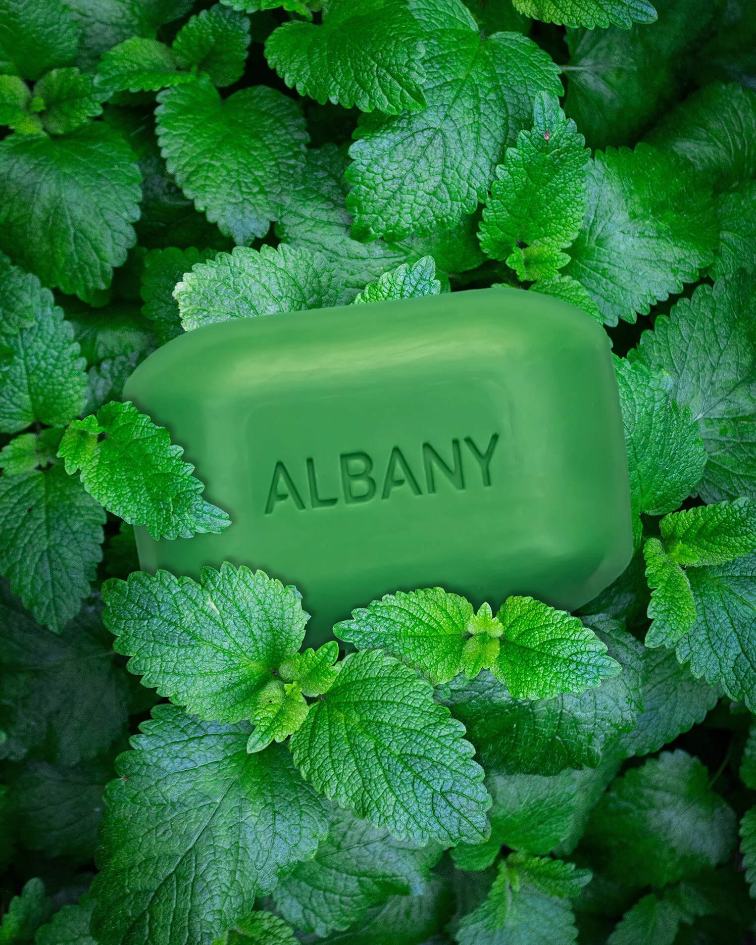 Albany_45.jpg
