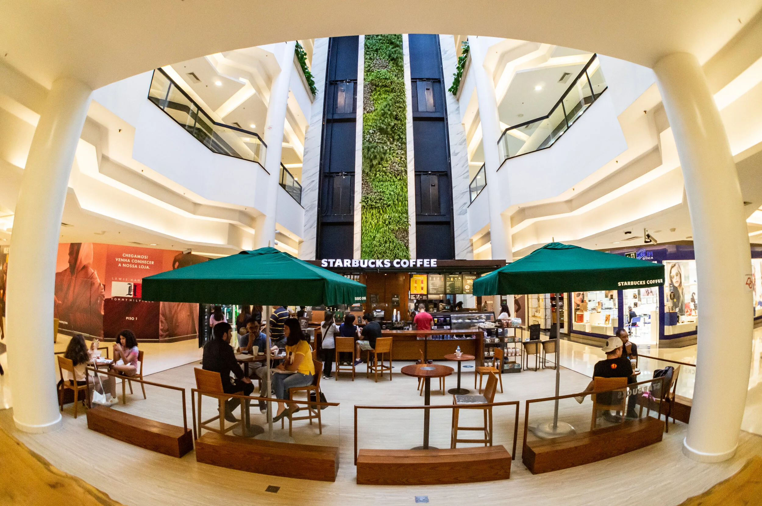 Ambiente_Plaza_13.jpg