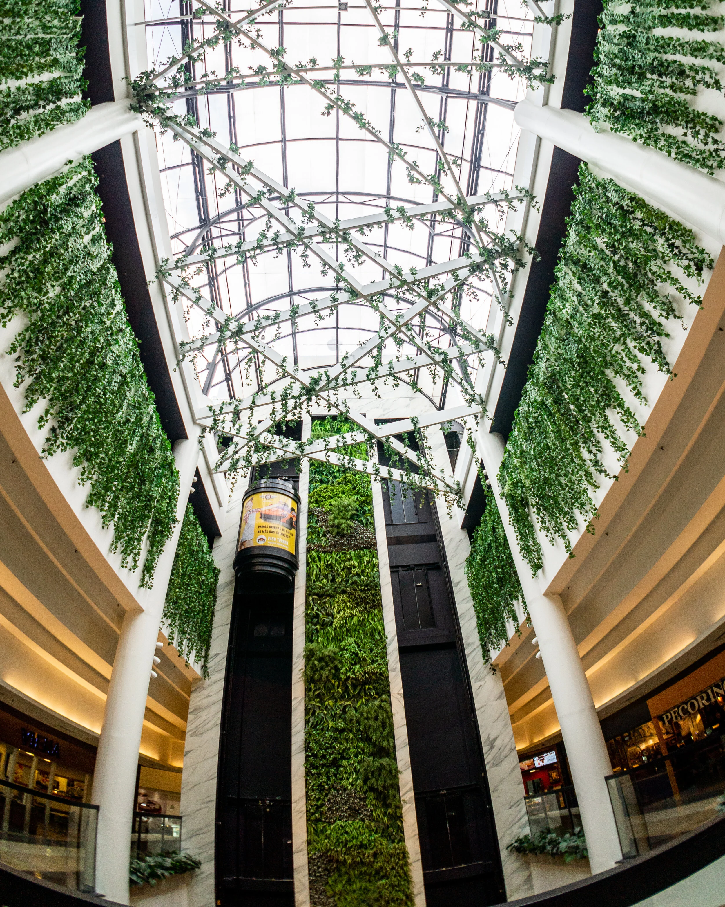 Ambiente_Plaza_05.jpg