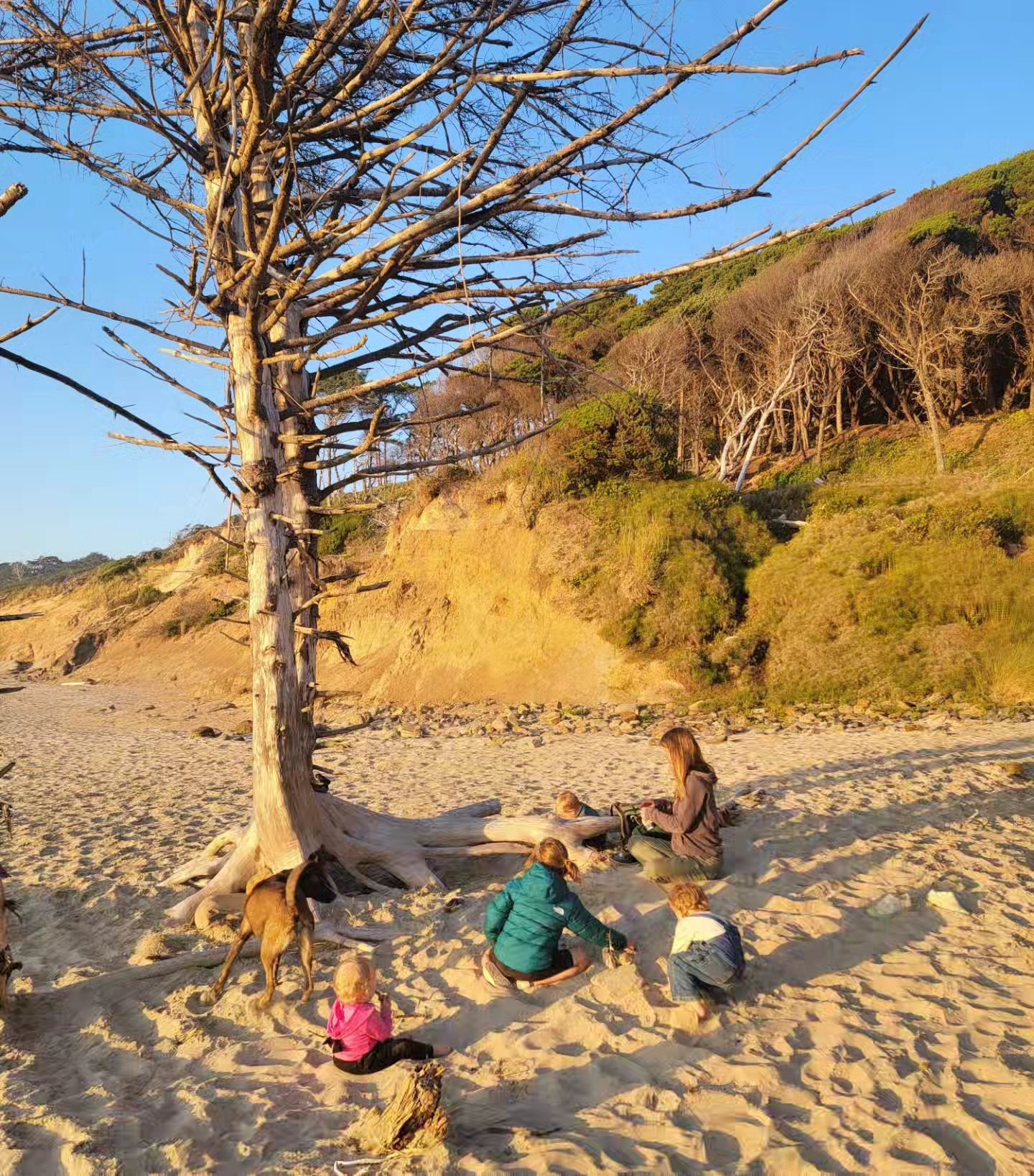 That feeling you get when you run into one of your best friends at the beach for an impromptu play session and an epic game of hide and seek. The kids couldn't find me until I started making barking noises 🤣 @tina_aquino
