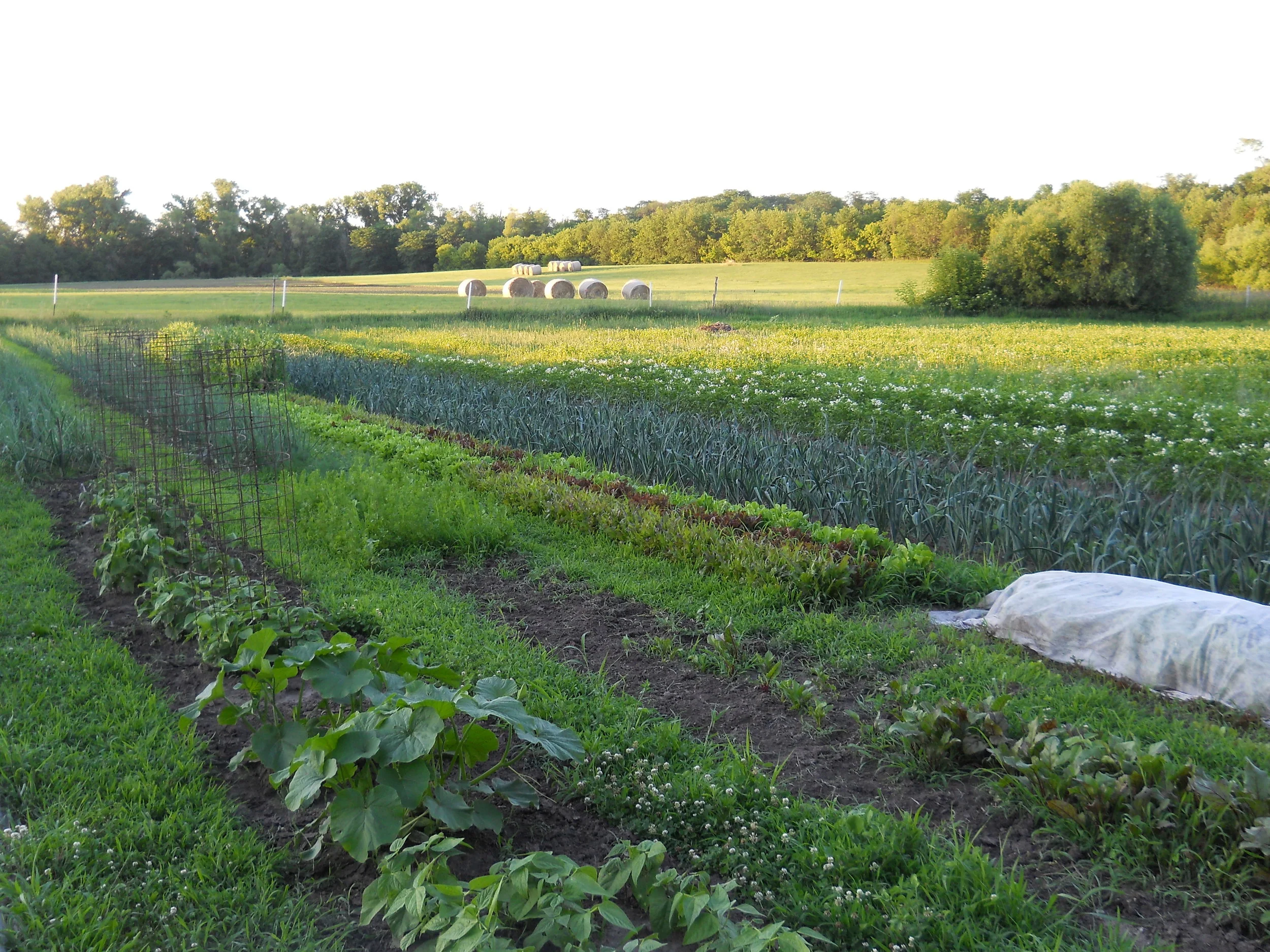 DSCN1138.JPG