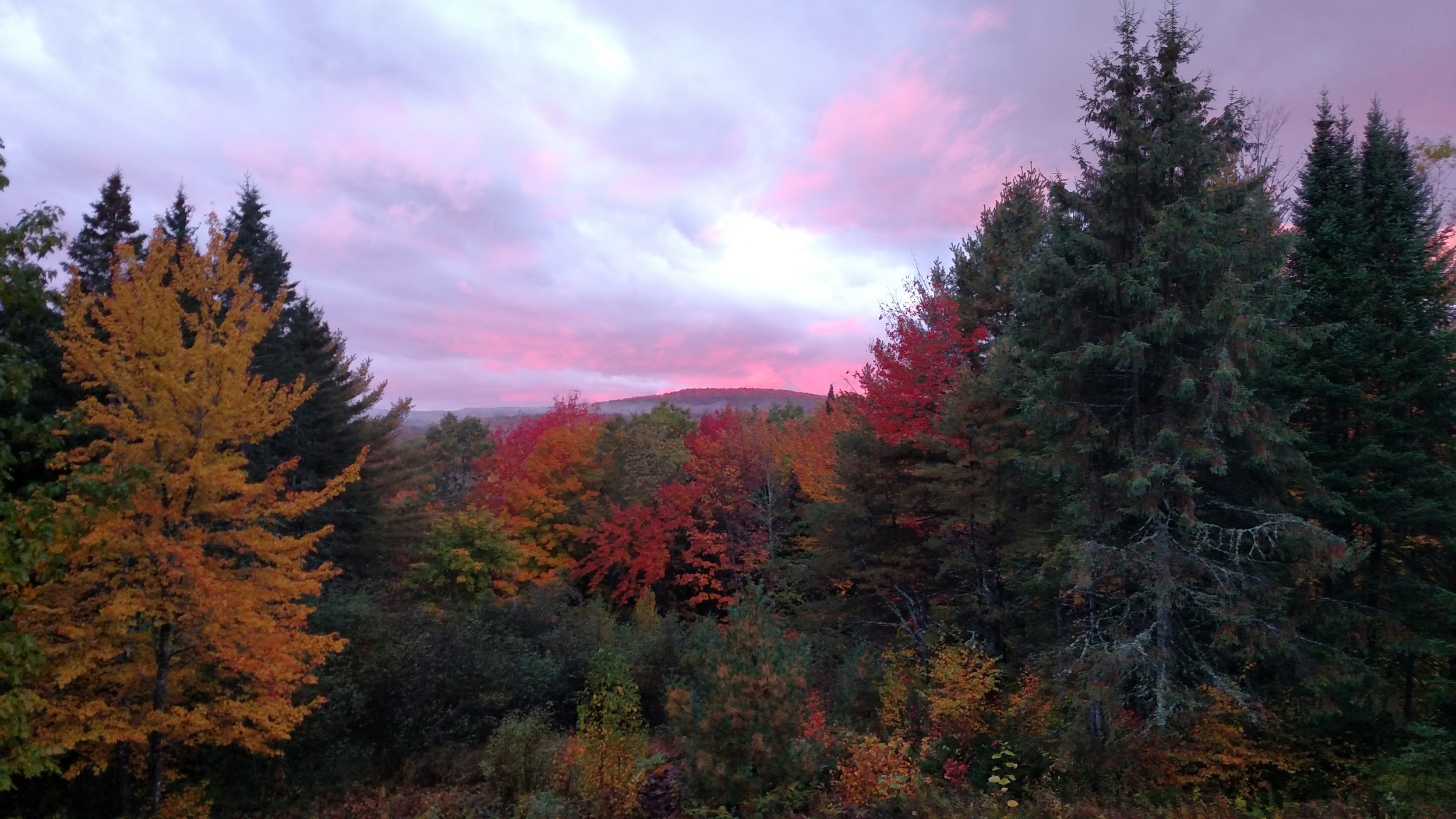 IMG_20151014_065023377.jpg