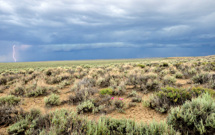 Lightning at Seedskadee NWR- Photo by Tom Koerner