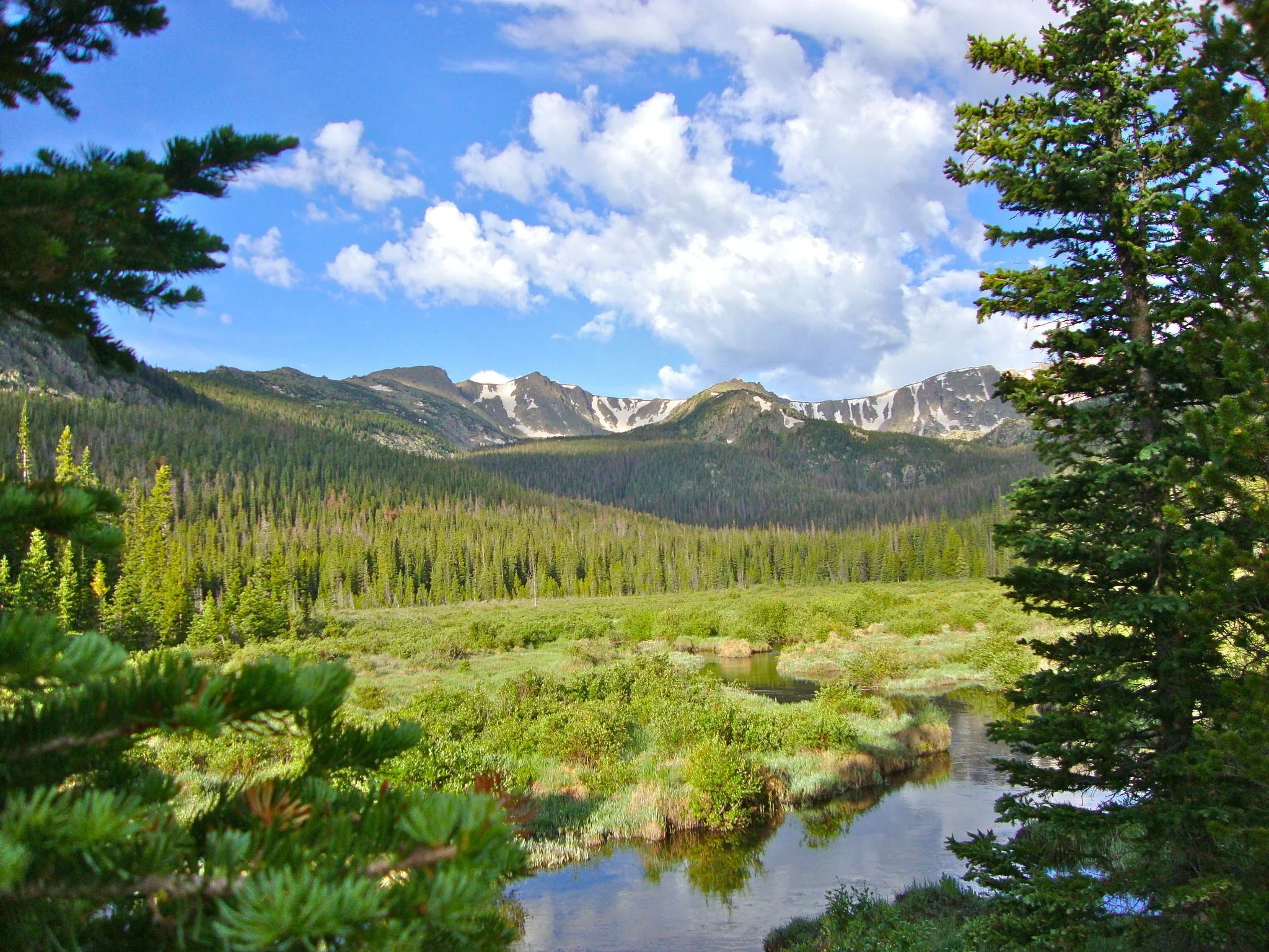 Views near the CSU Mountain Campus.