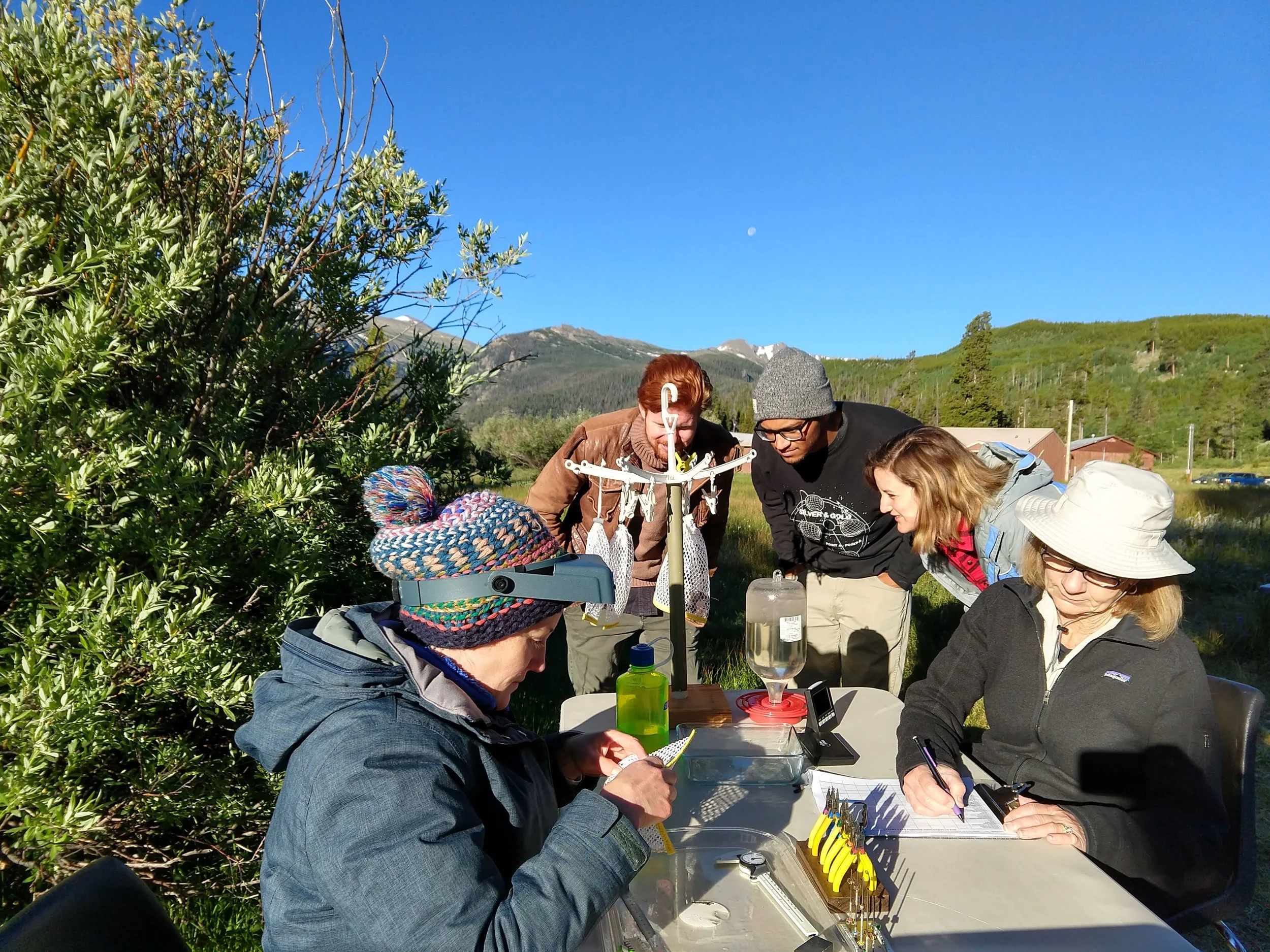 The band looks at bags of hummingbirds, while scientists and volunteers record data (e.g. weight, age, gender).
