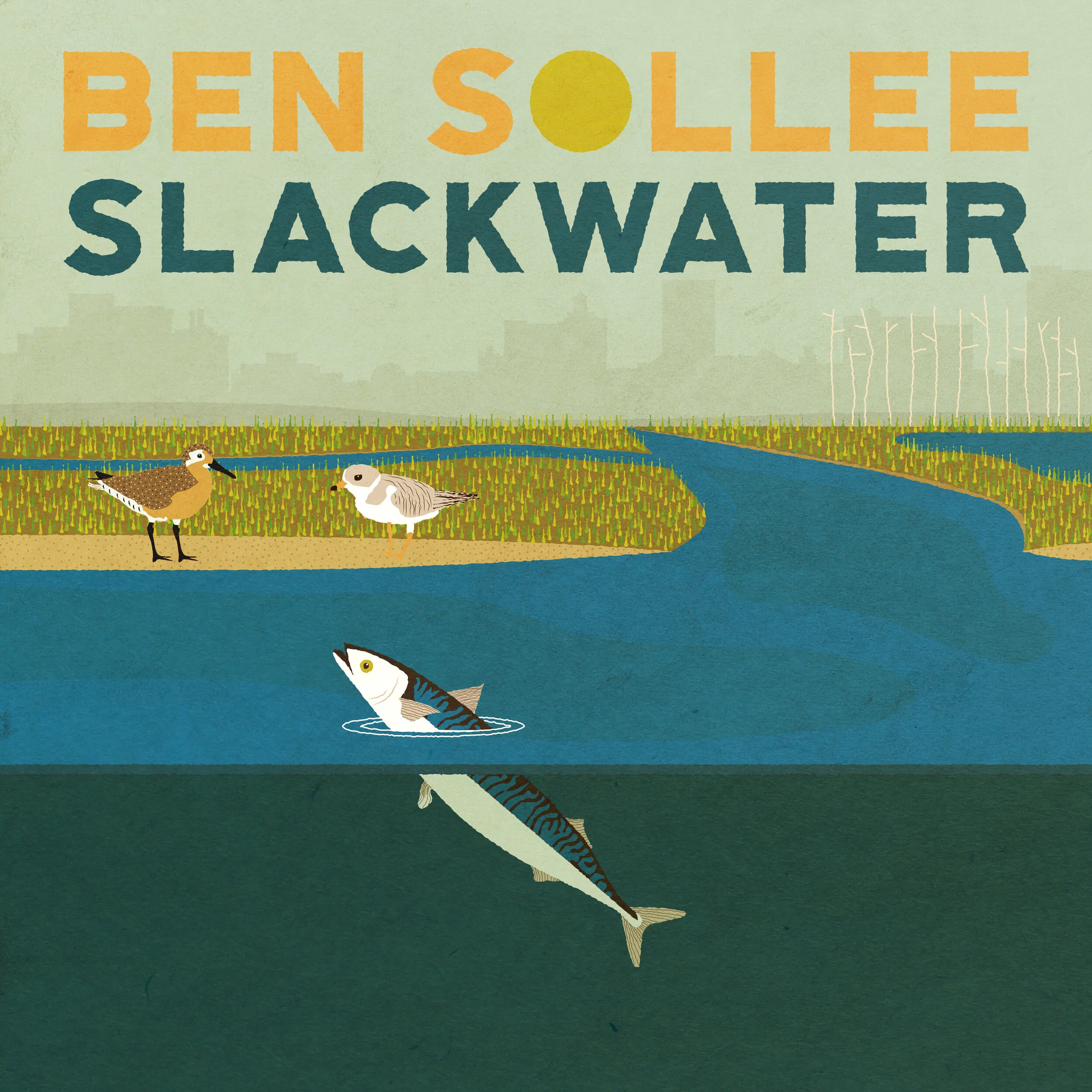 Songscape Premiere TODAY: Ben Sollee's climate change single "Slackwater" featuring Forsythe National Wildlife Refuge 