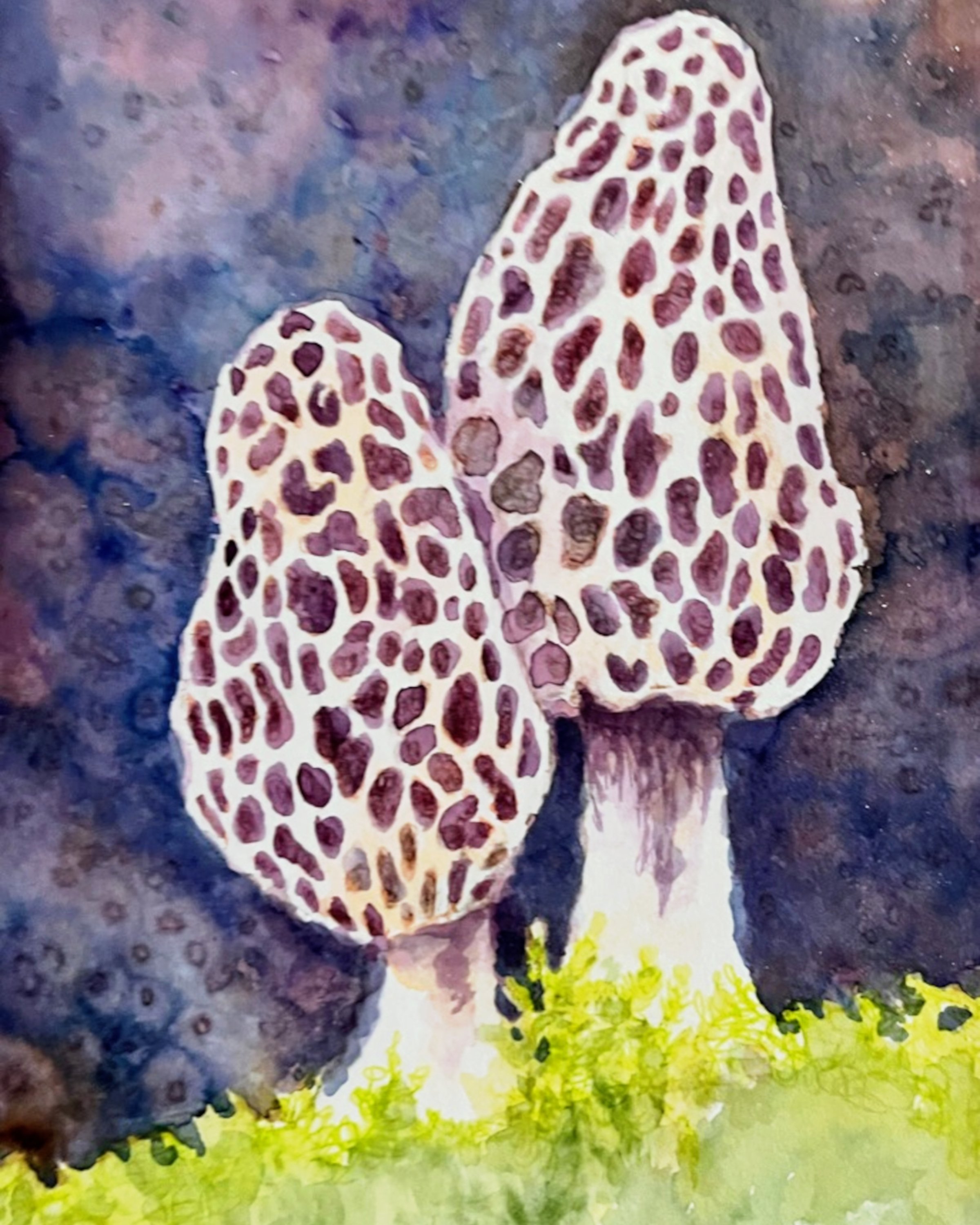 Morels 8x10.jpg