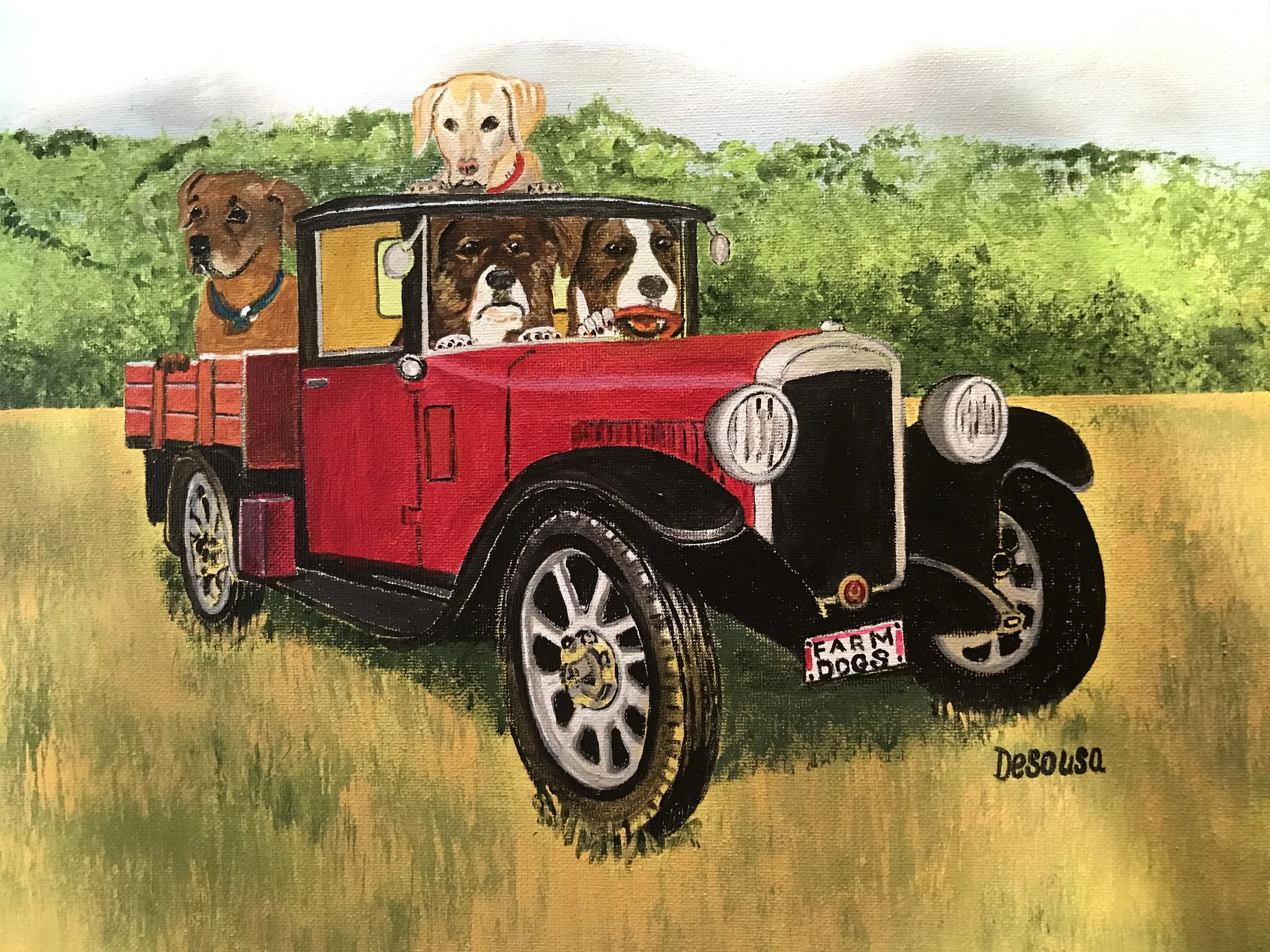 Four Dogs in a Truck - Rainbow - Jose Desousa.jpg