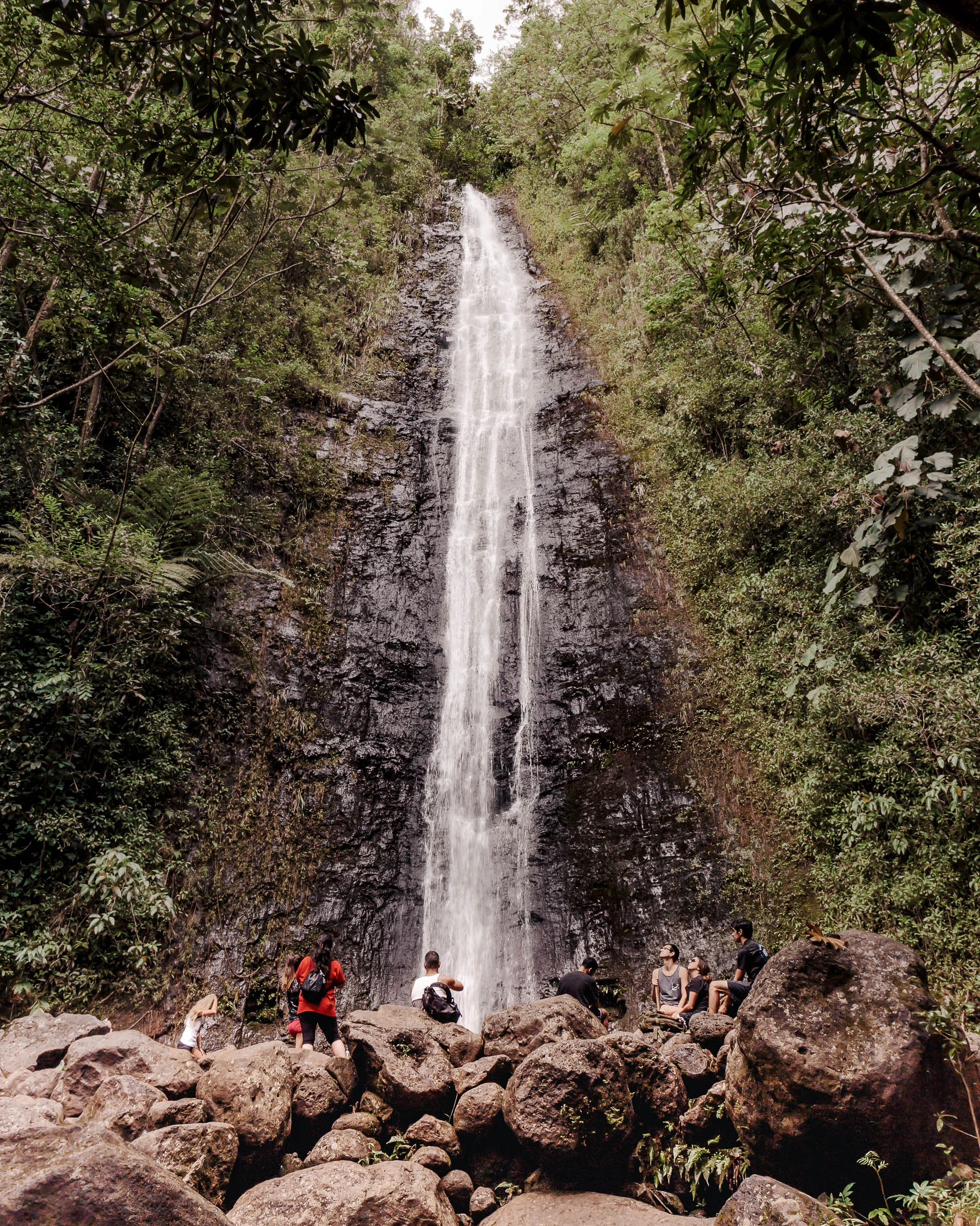 Manoa Falls | Oahu Hawaii