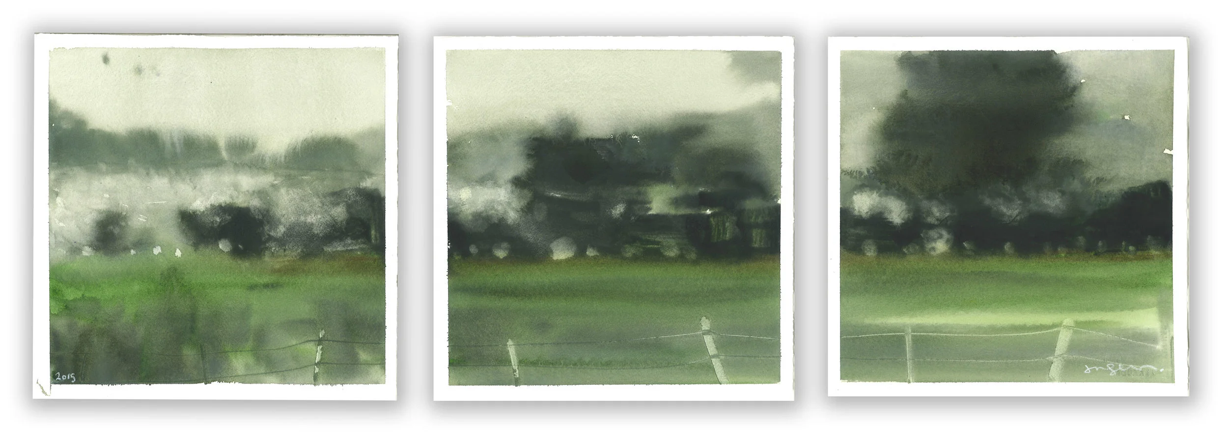 Rainscape IV Watercolor & Collected Rainwater on Paper 10 x 30 $1500 • SOLD