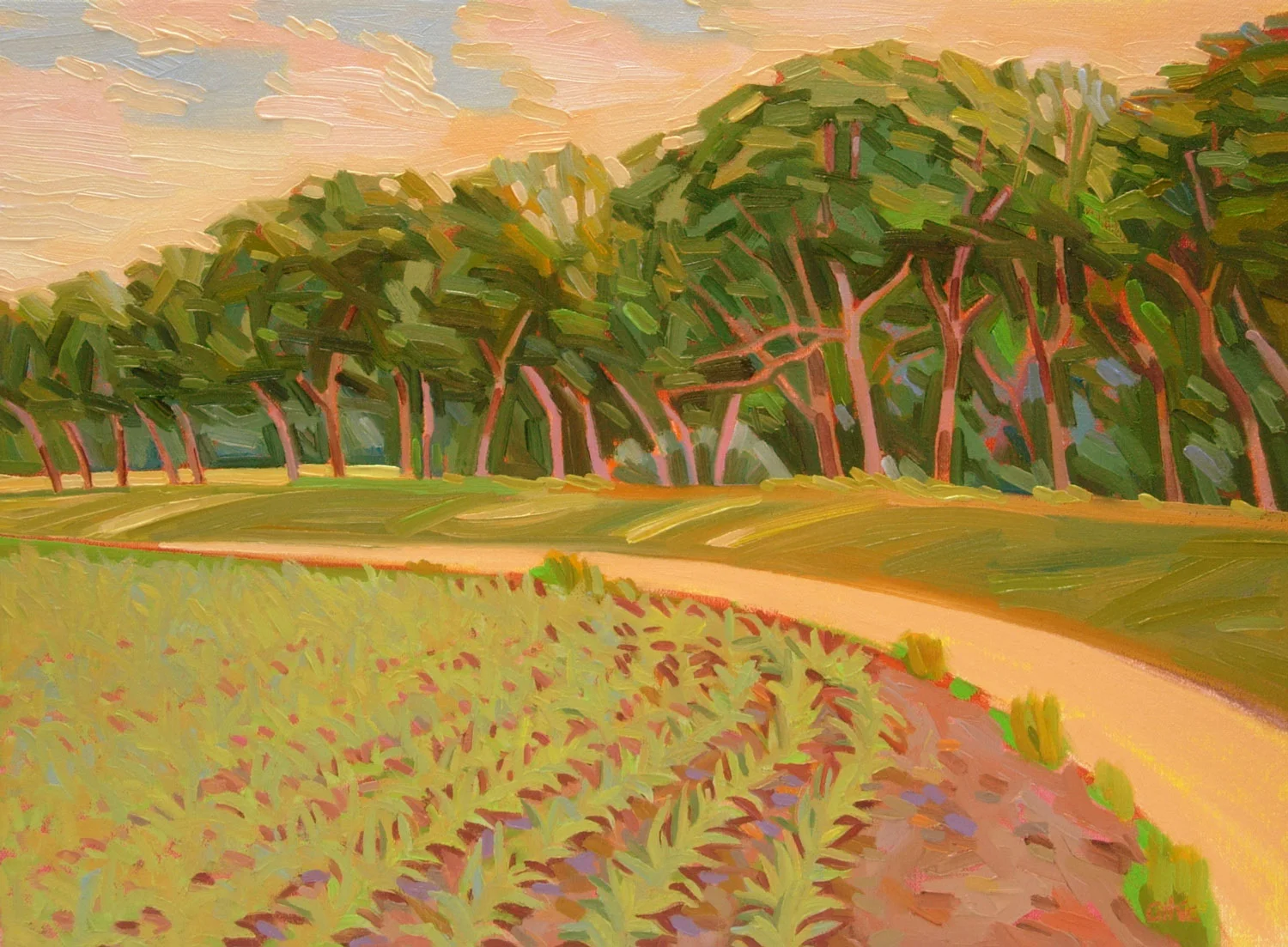 Early Corn Oil on Canvas 12 x 16 $500