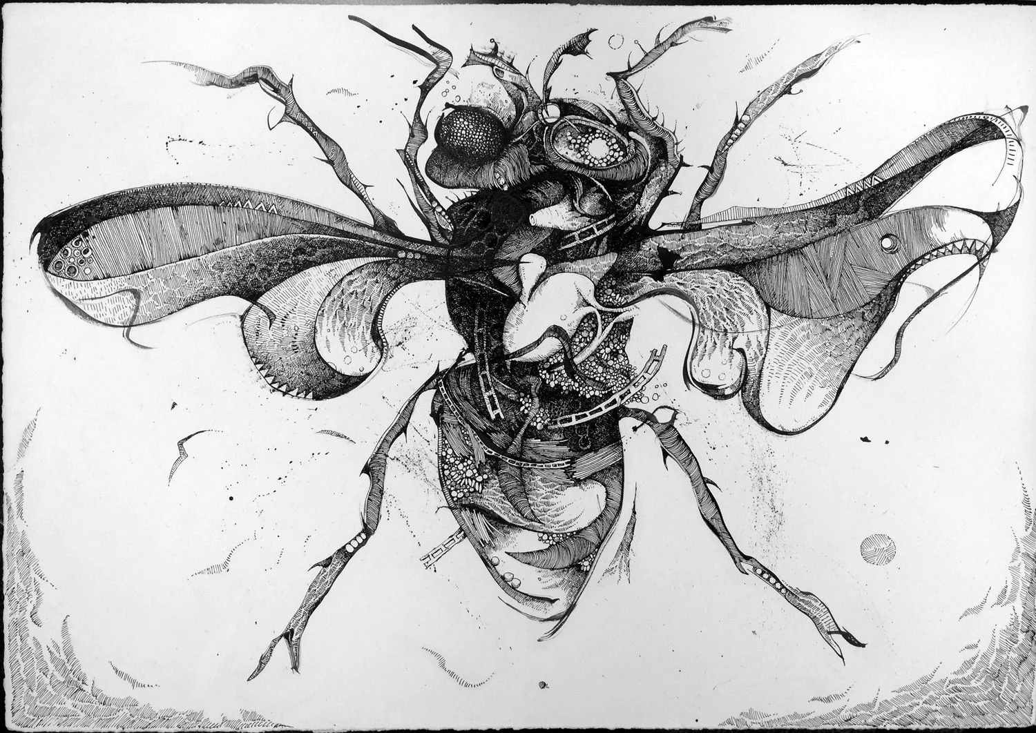 Fly on the Wall 1 Ink on Paper 32.5 x 26.5 (framed) $2400 • SOLD