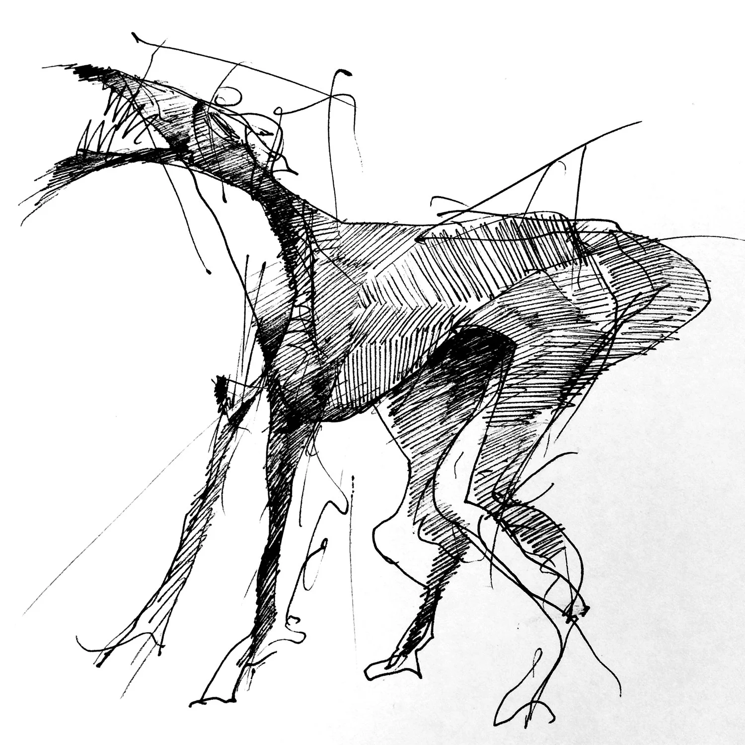 Growling Dog Ink on Paper $300 • SOLD