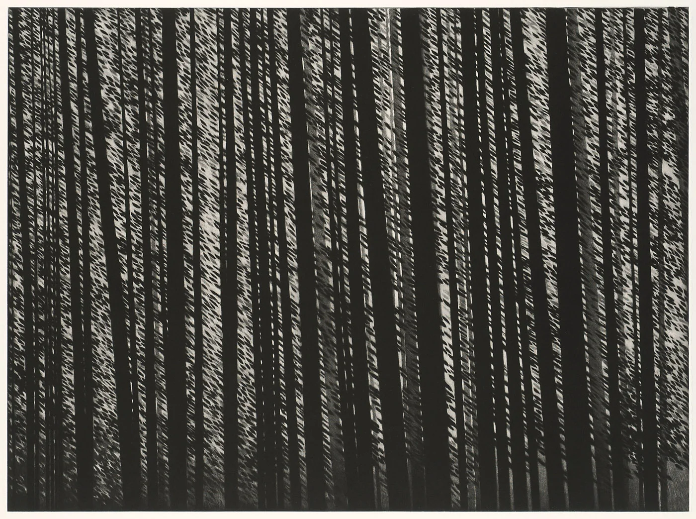 Forest Murmurs , 2010 8/50 Mezzotint 14.375 x 19.5