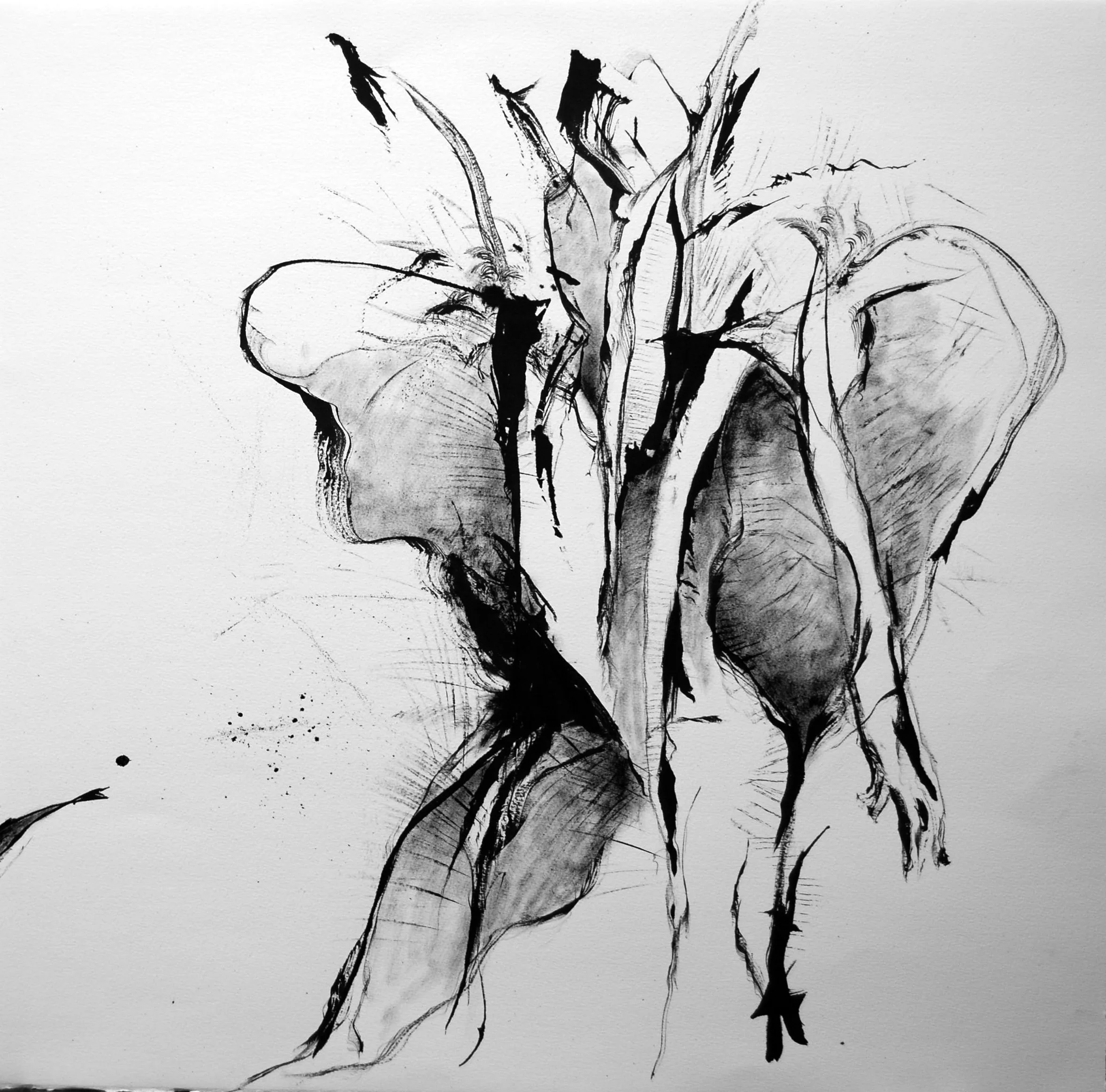 He performed the ceremonial dance accompanied by his young sons playing kitchen pots and pans India ink applied with feather and brush 23 x 22 $ 1,250