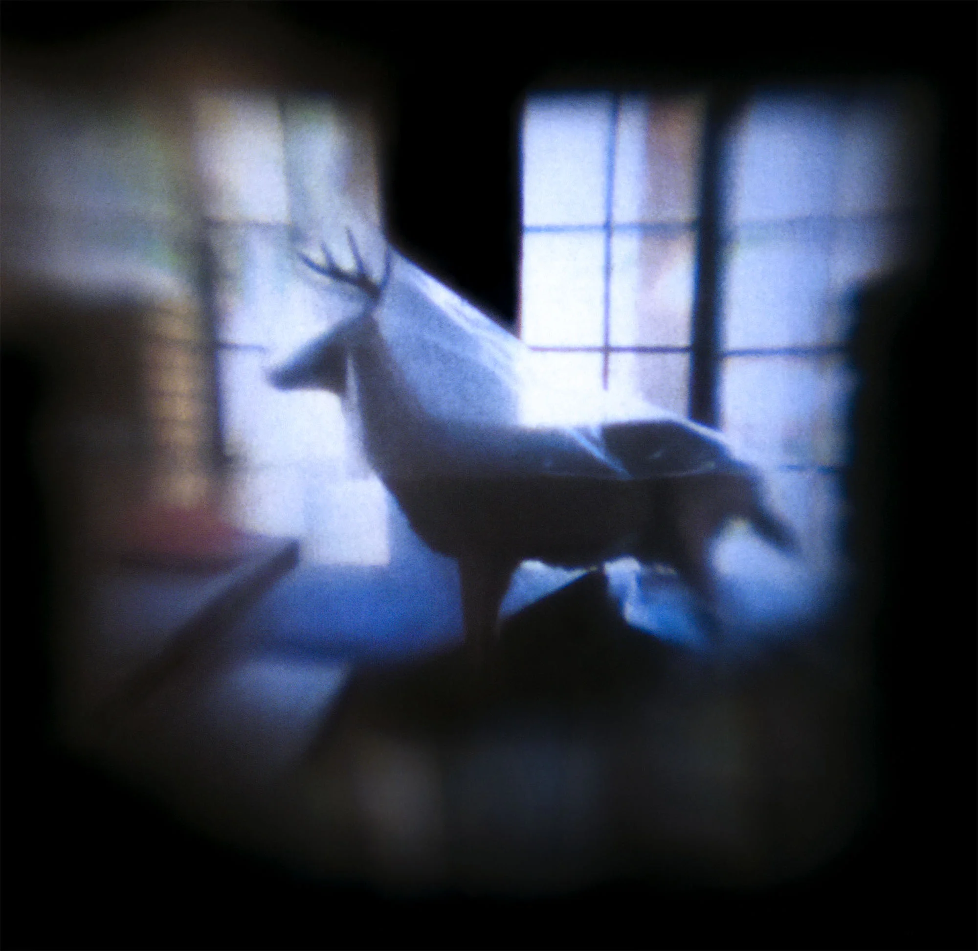 Scott McMahon Stag Archival inkjet print 20x20" $400