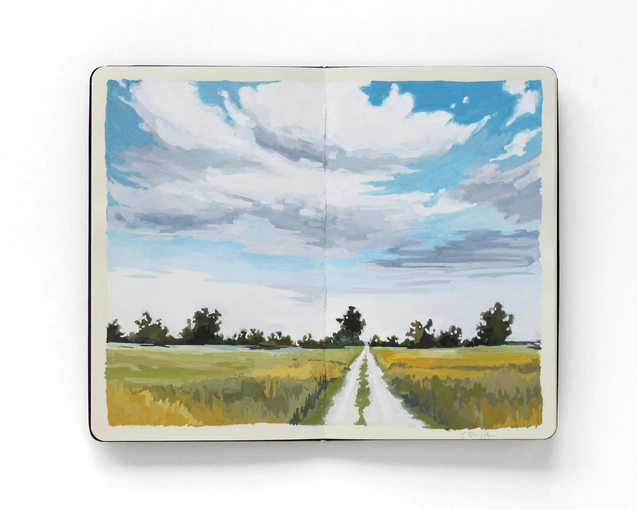 Nephology No. 3 Gouache in sketchbook 8 x 10 $ 700 • SOLD