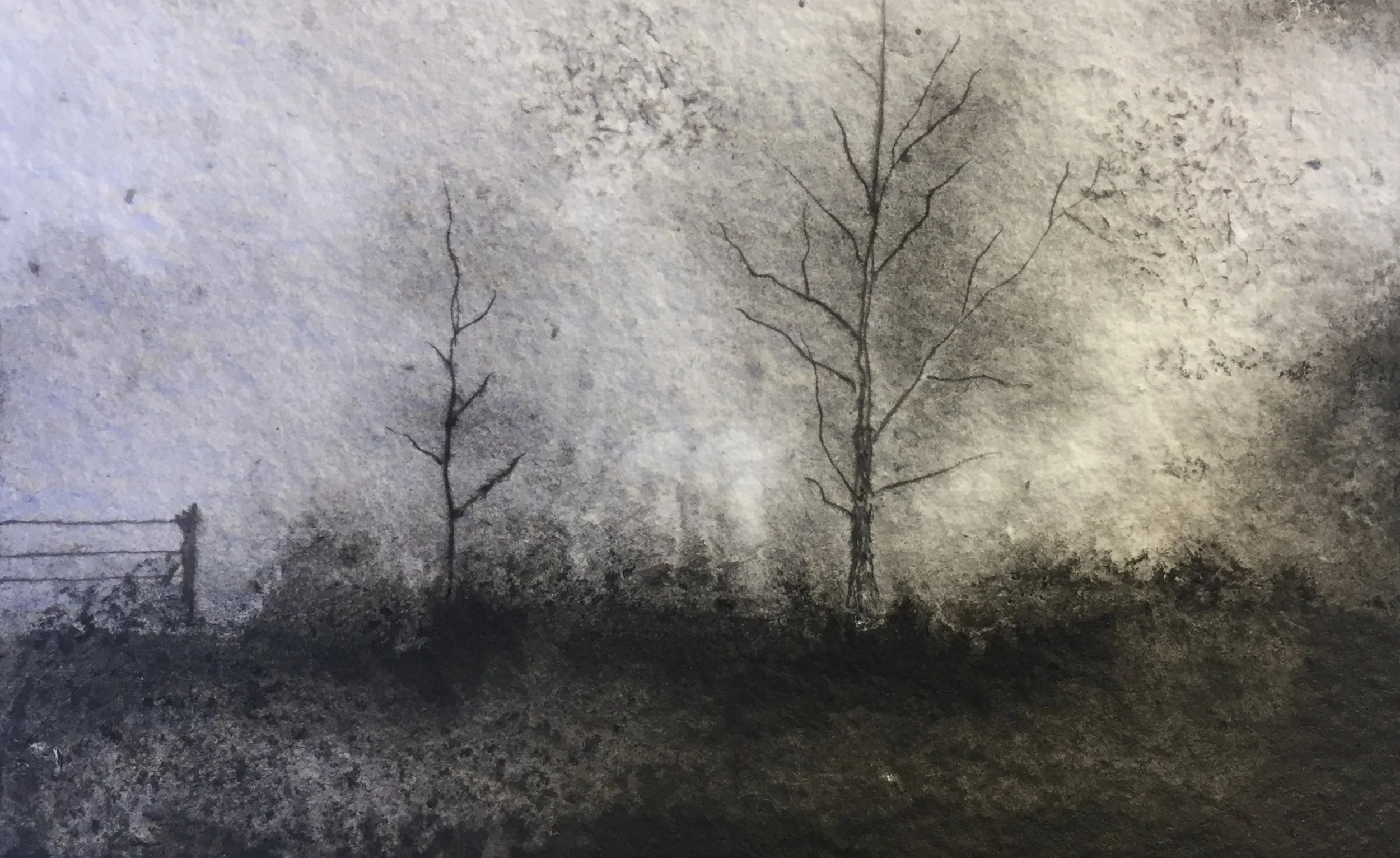 Postcards from Beyond No. 6 Ink and salt on paper 10 x 13 (framed) $ 650