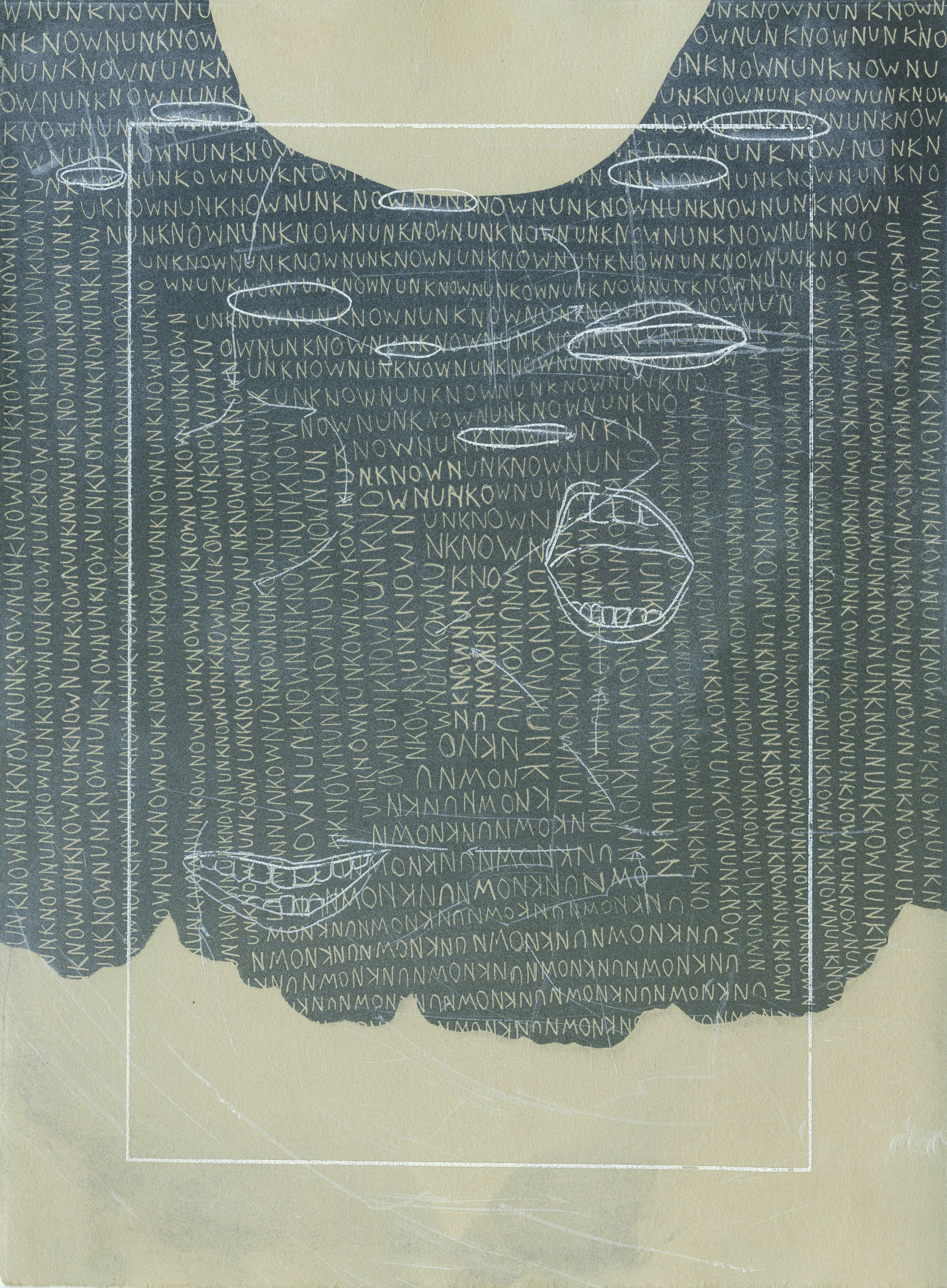 We know there are some things we do not know. (Blizzard No. 11) Collograph monotype and collage on paper 17 x 13.5 $ 300