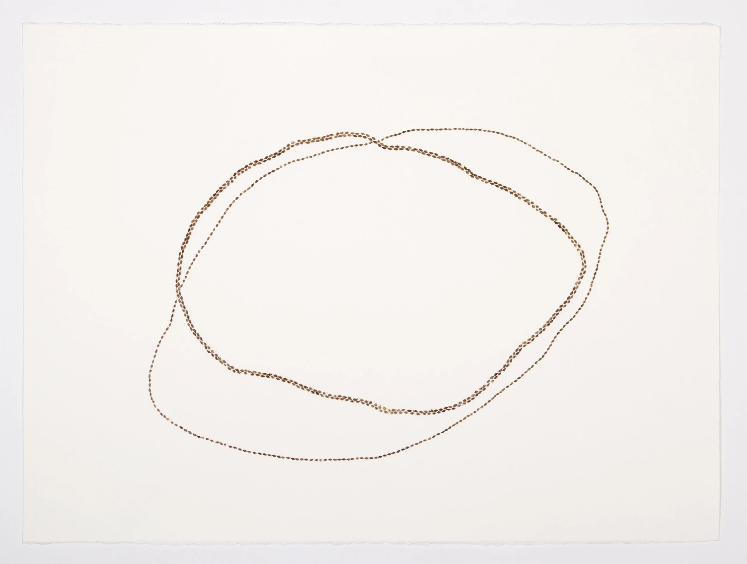 Snake Charmer: The Casting Off Shed snake scales on paper 24 x 32 $ 1,600