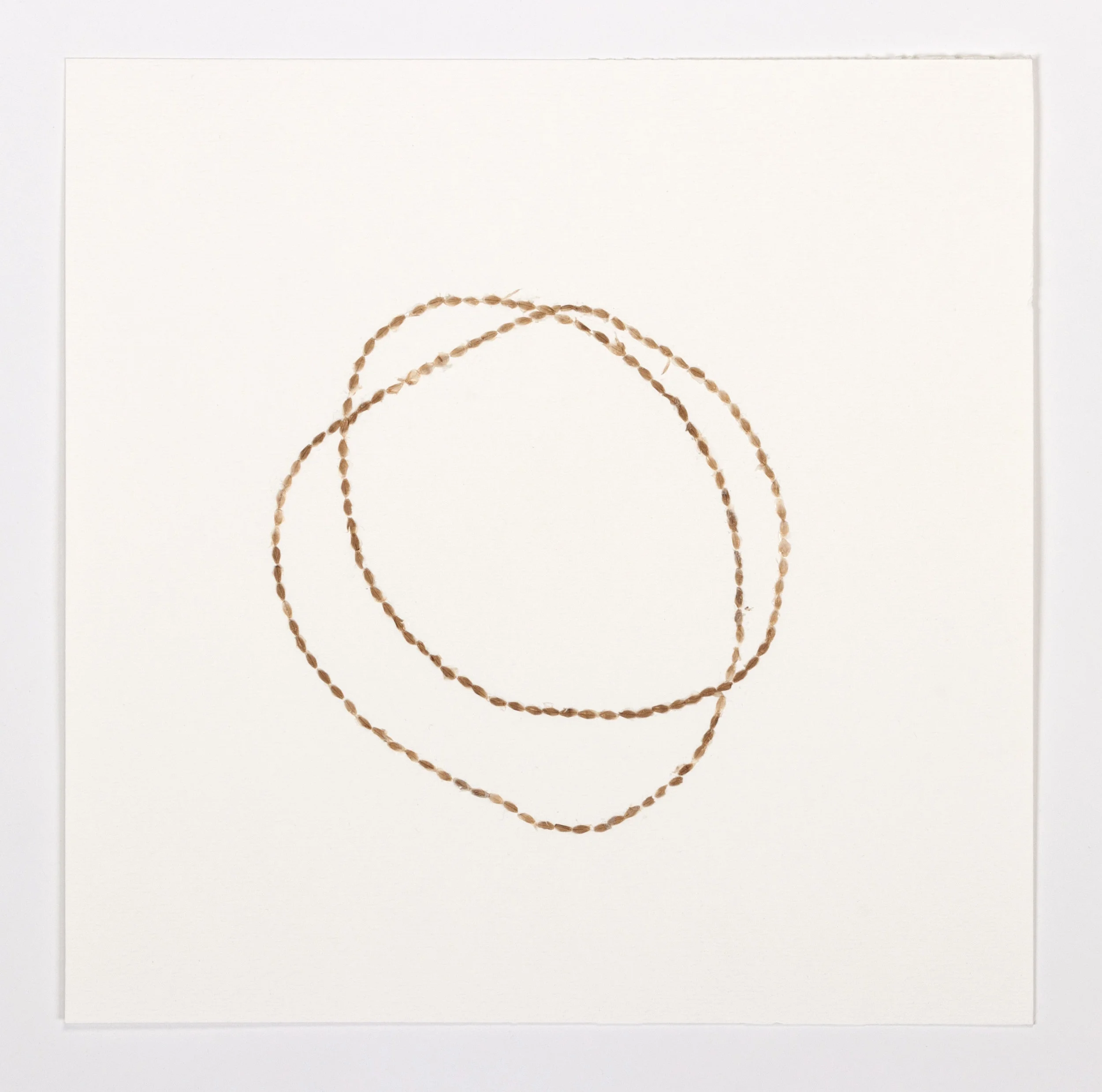 Snake Charmer: The Scale of Eternity Shed snake scales on paper 12 x 12 $ 750