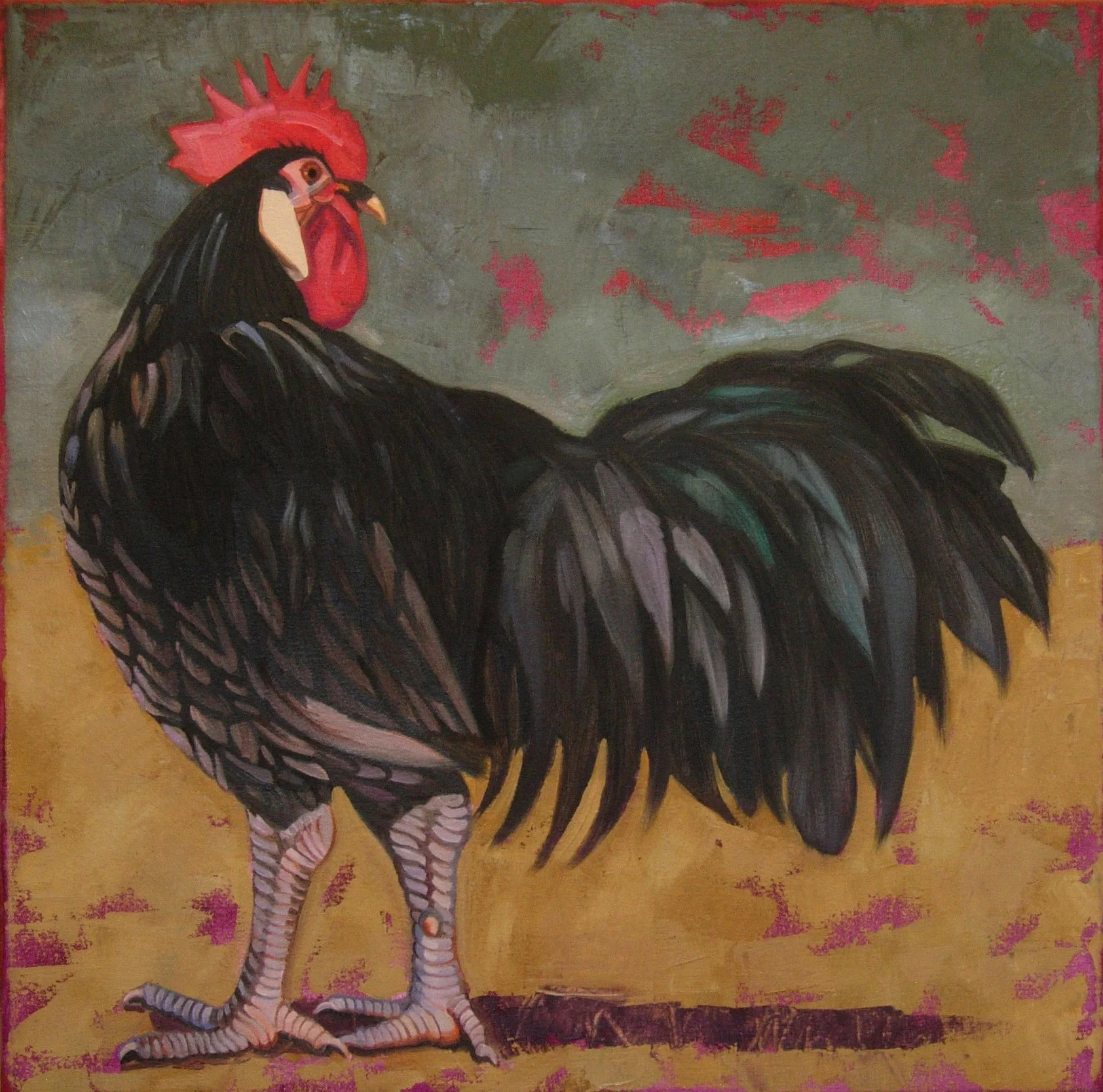 Black Rooster Oil on canvas 20 x 20 $ 800 • SOLD