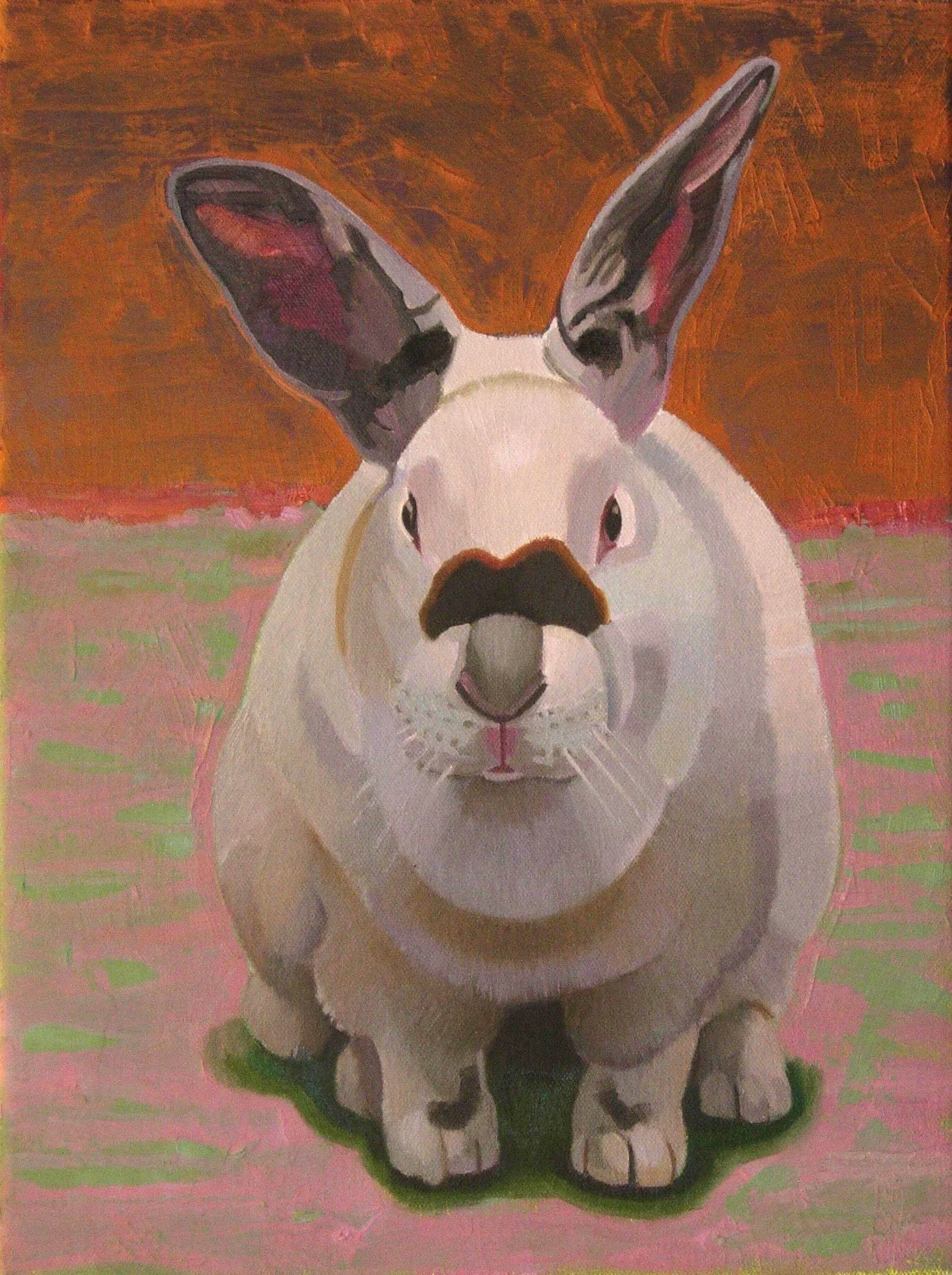 California Rabbit Oil on canvas 12 x 12 $ 300 • SOLD