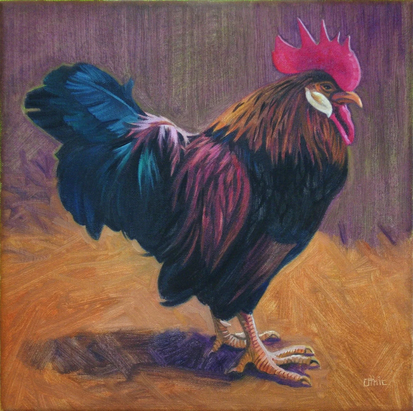 Small Rooster Oil on canvas 12 x 12 $ 250 • SOLD