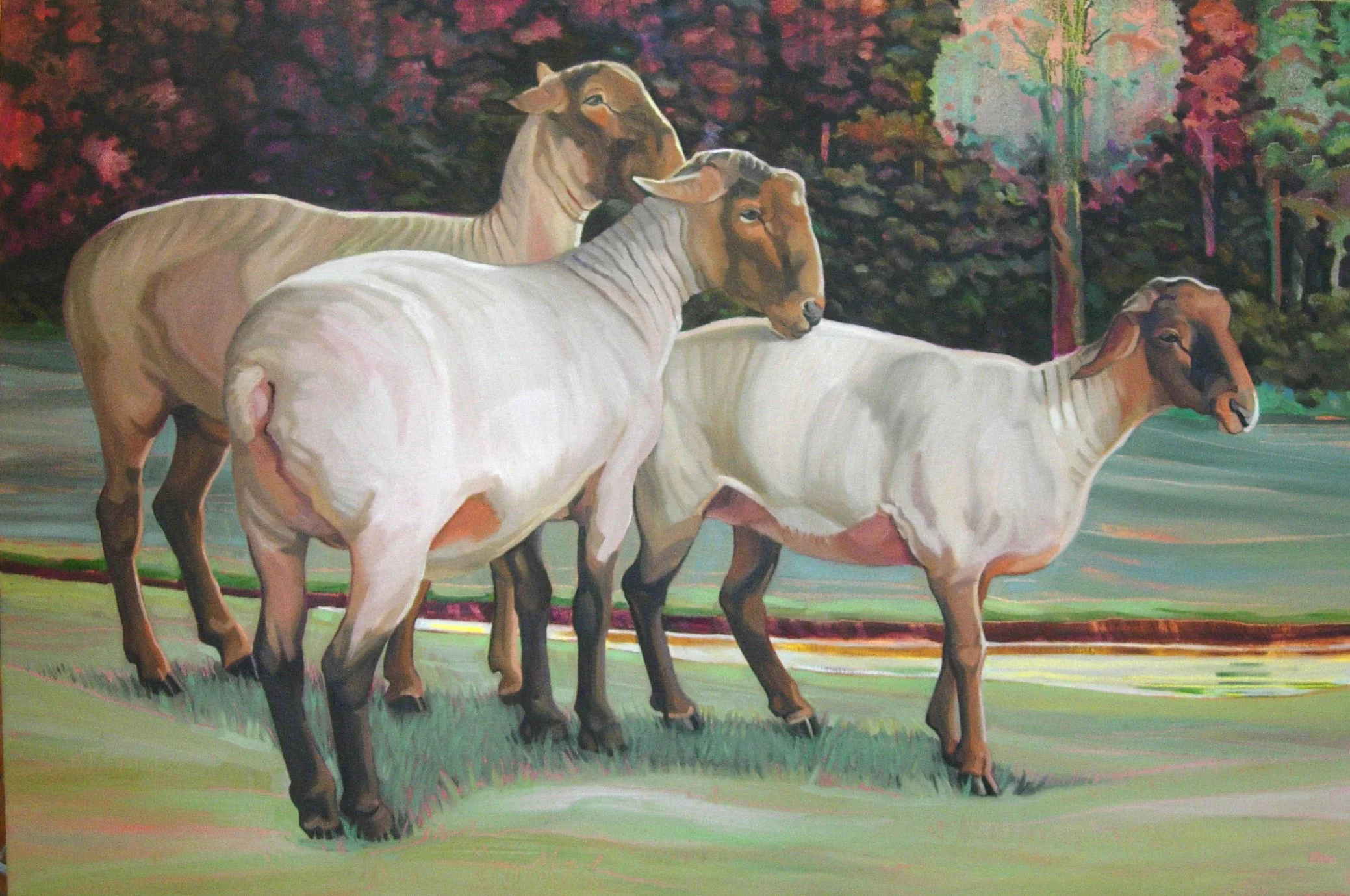 Three Sheared Sheep Oil on canvas 24 x 36 $ 1,600