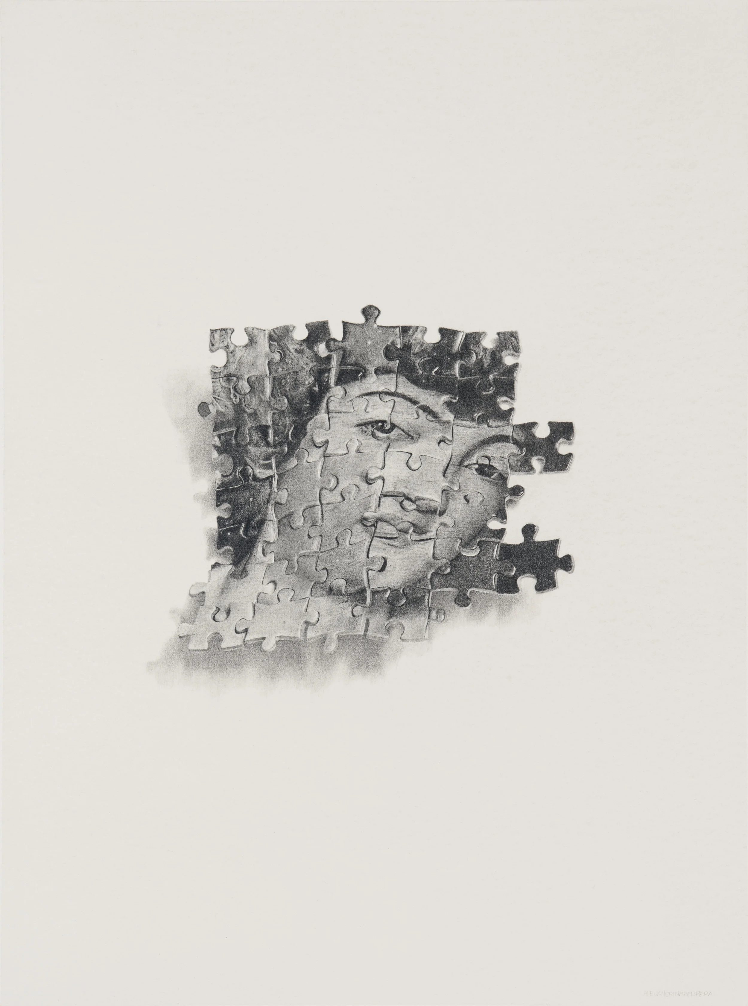 Kinds of Puzzles No. 1 Pencil on paper 24 x 18 $ 1,600
