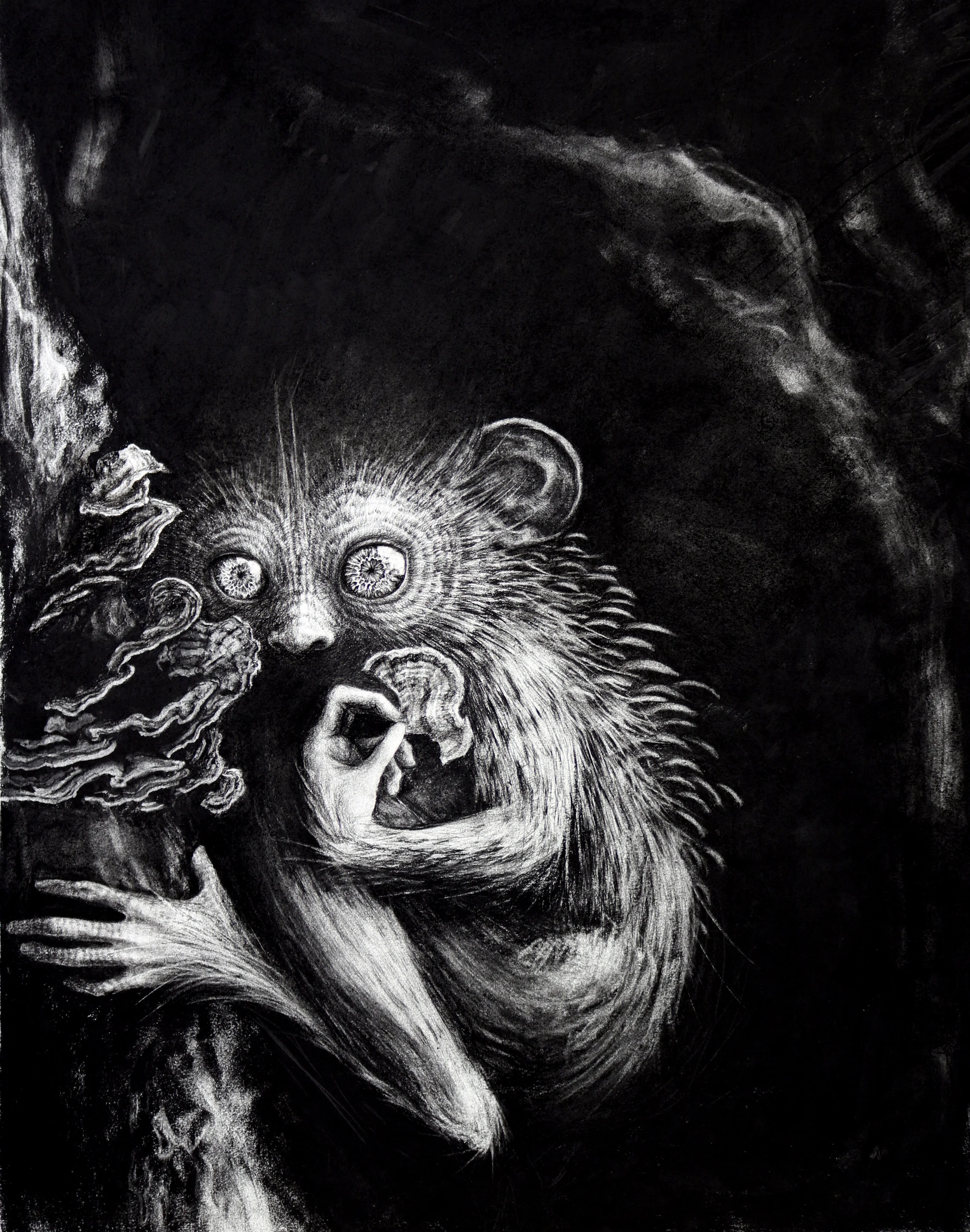 Untitled No. 2 Charcoal on paper 28 x 22 $ 2,500