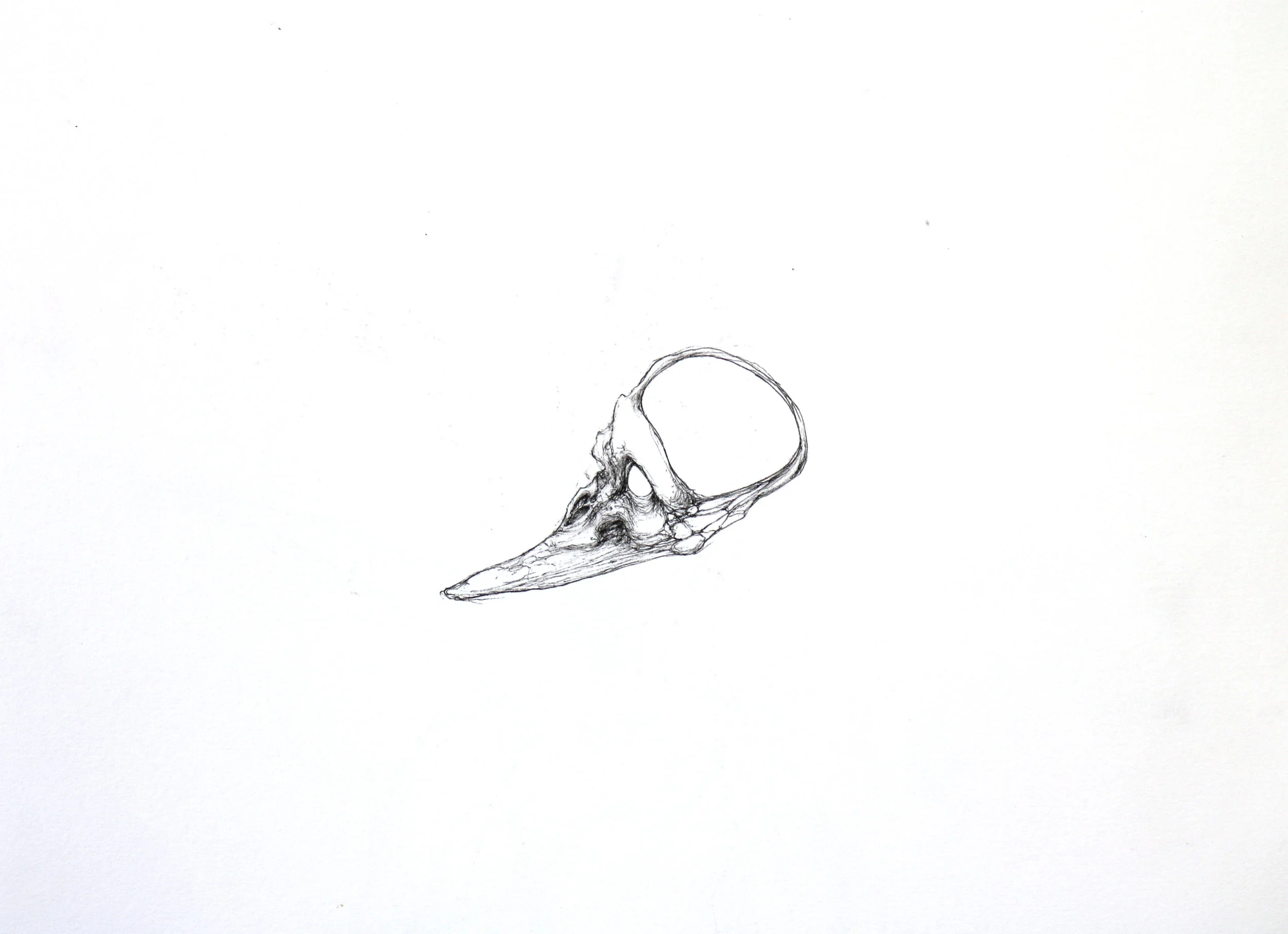 Untitled No. 12 Ink on paper 14.25 x 17.25 $ 250