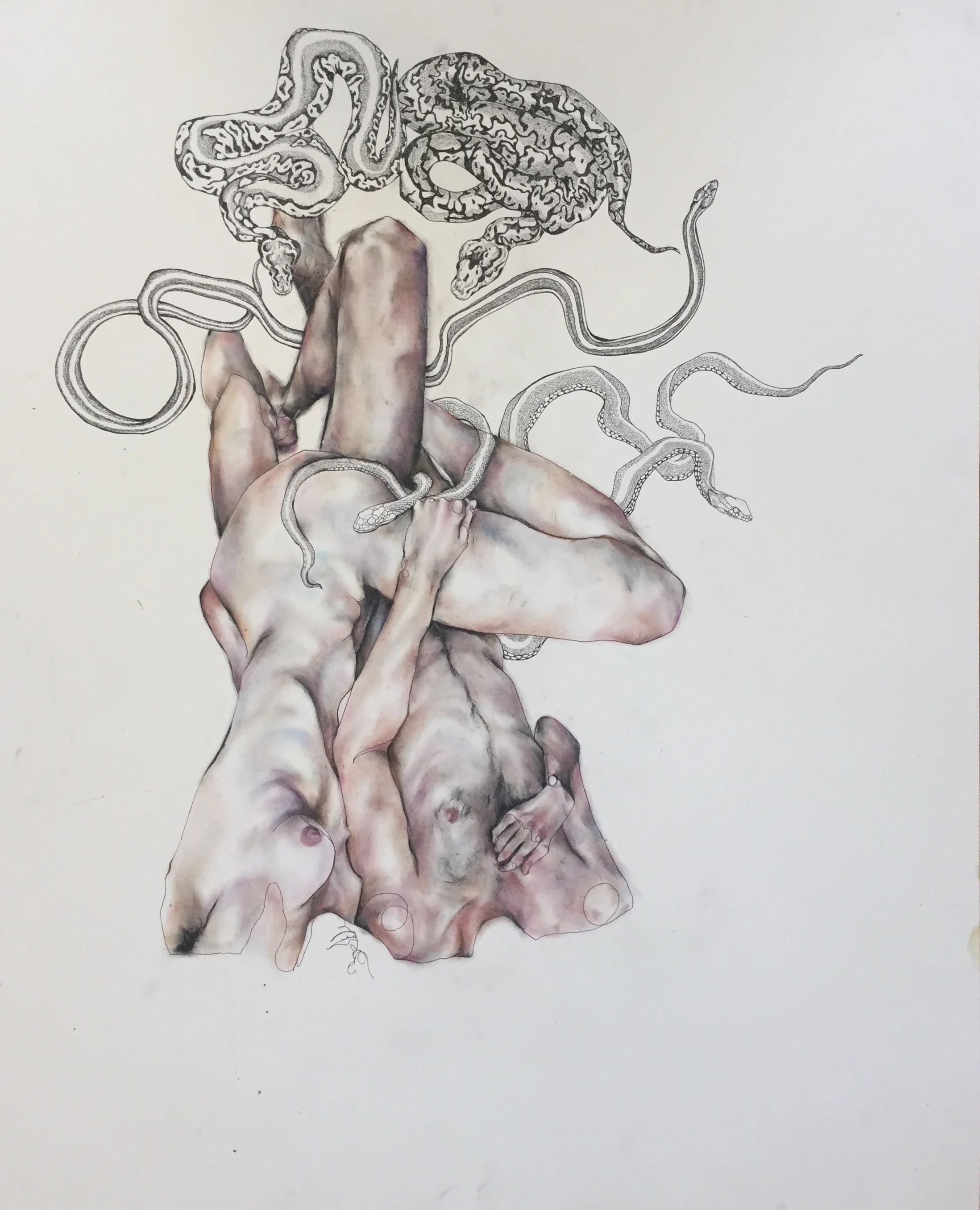 Tobi C, Shedding , Oil pastel and ink on paper, 40 x 32, $1,600
