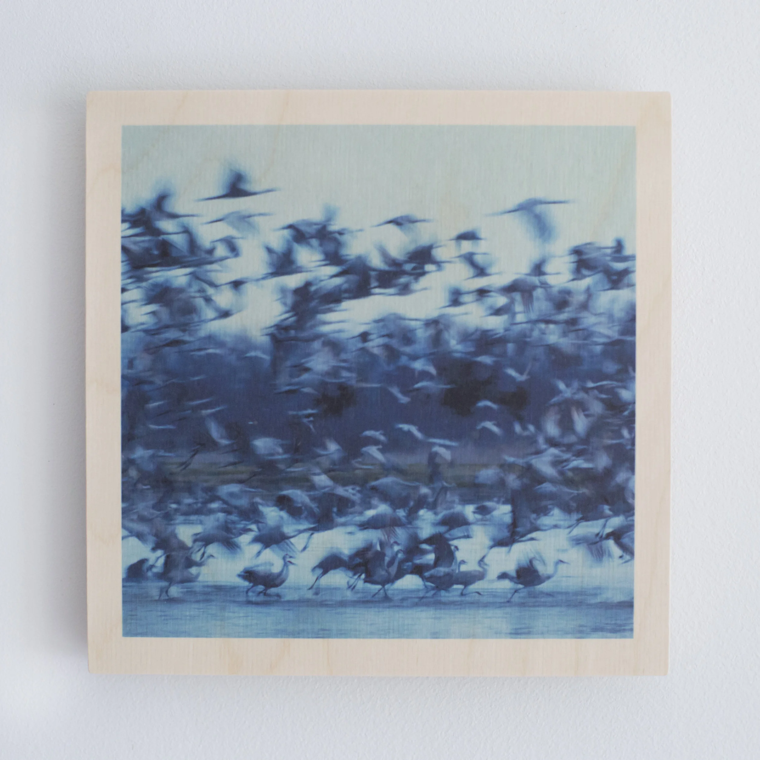 Untitled E Photograph on wood 8 x 8 $ 90 • SOLD