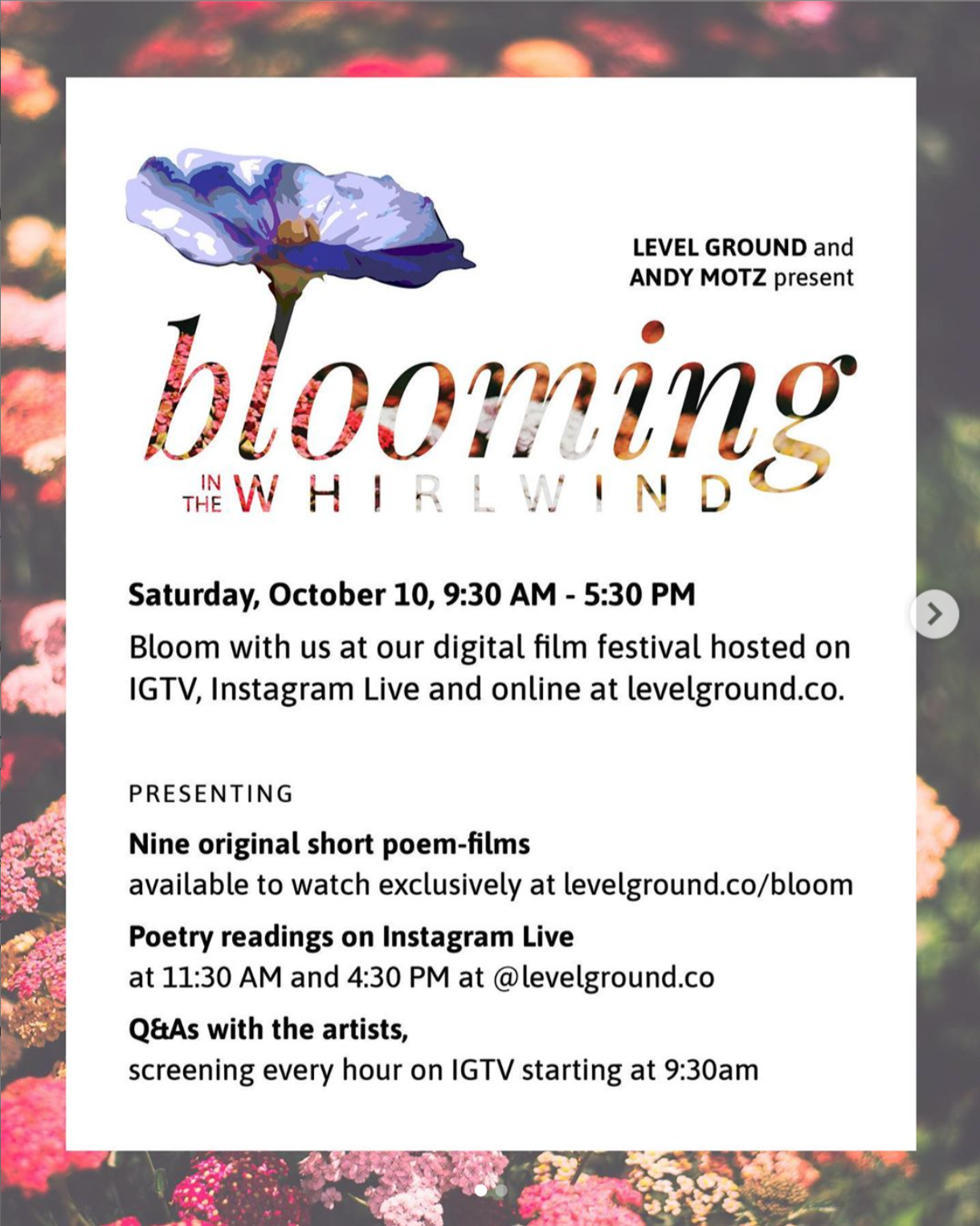 Coming Soon: "Bloom In The Whirlwind"