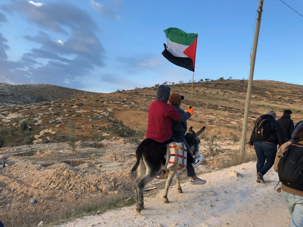 Documenting Palestine Syllabus