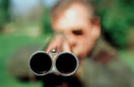 Double Barrel Clean.png